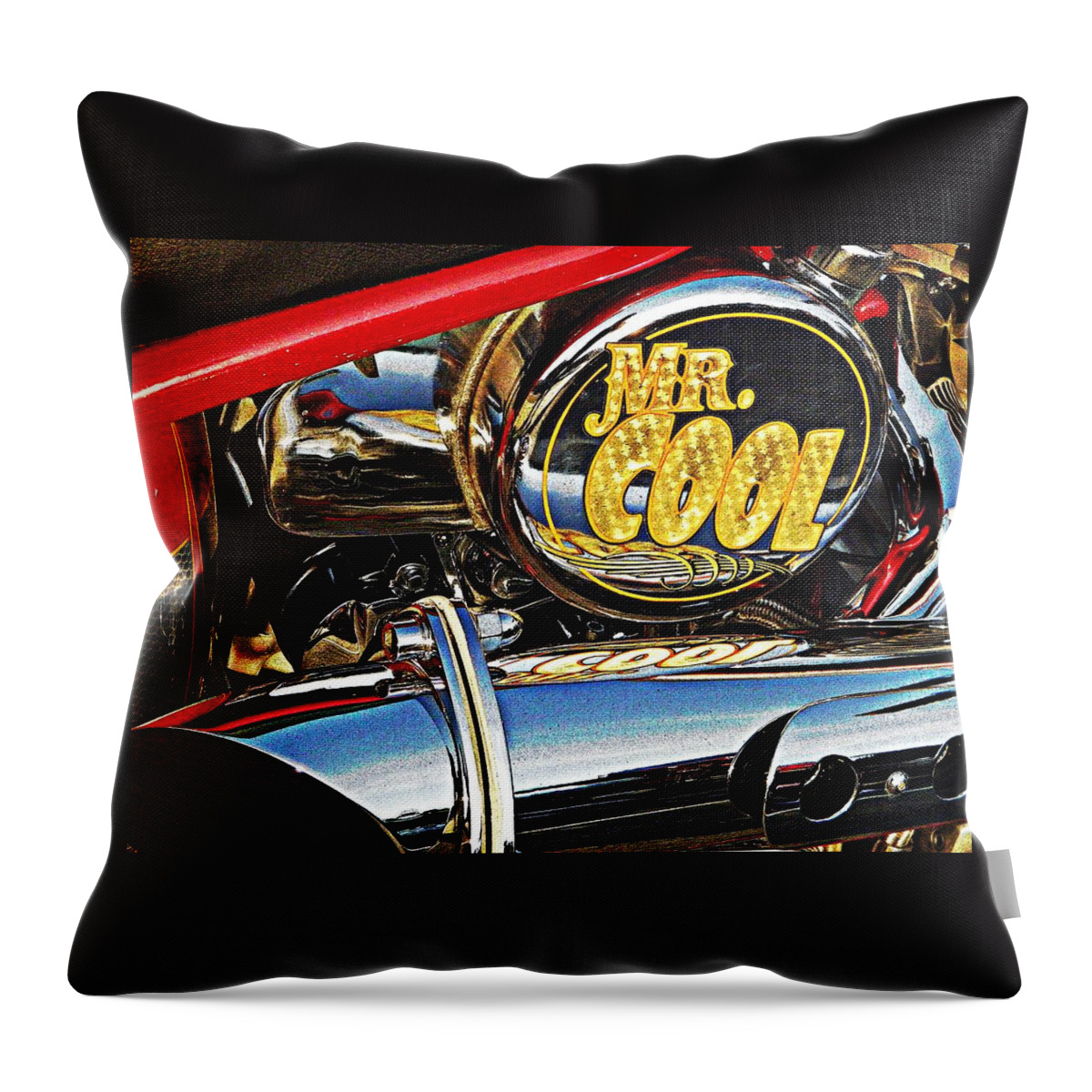 Vehicle Throw Pillow featuring the photograph Mister Cool by Chris Berry