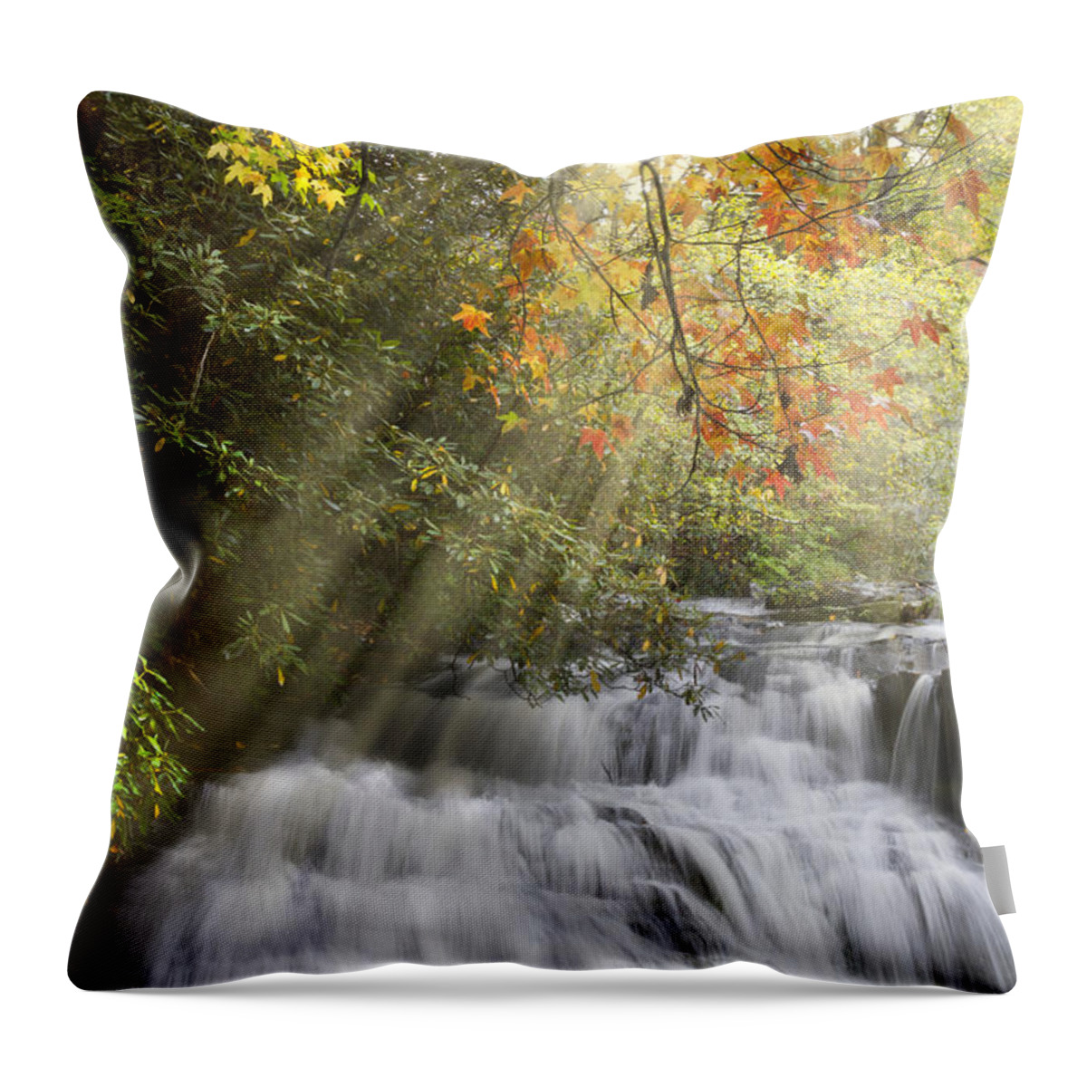 Appalachia Throw Pillow featuring the photograph Misty Falls at Coker Creek by Debra and Dave Vanderlaan