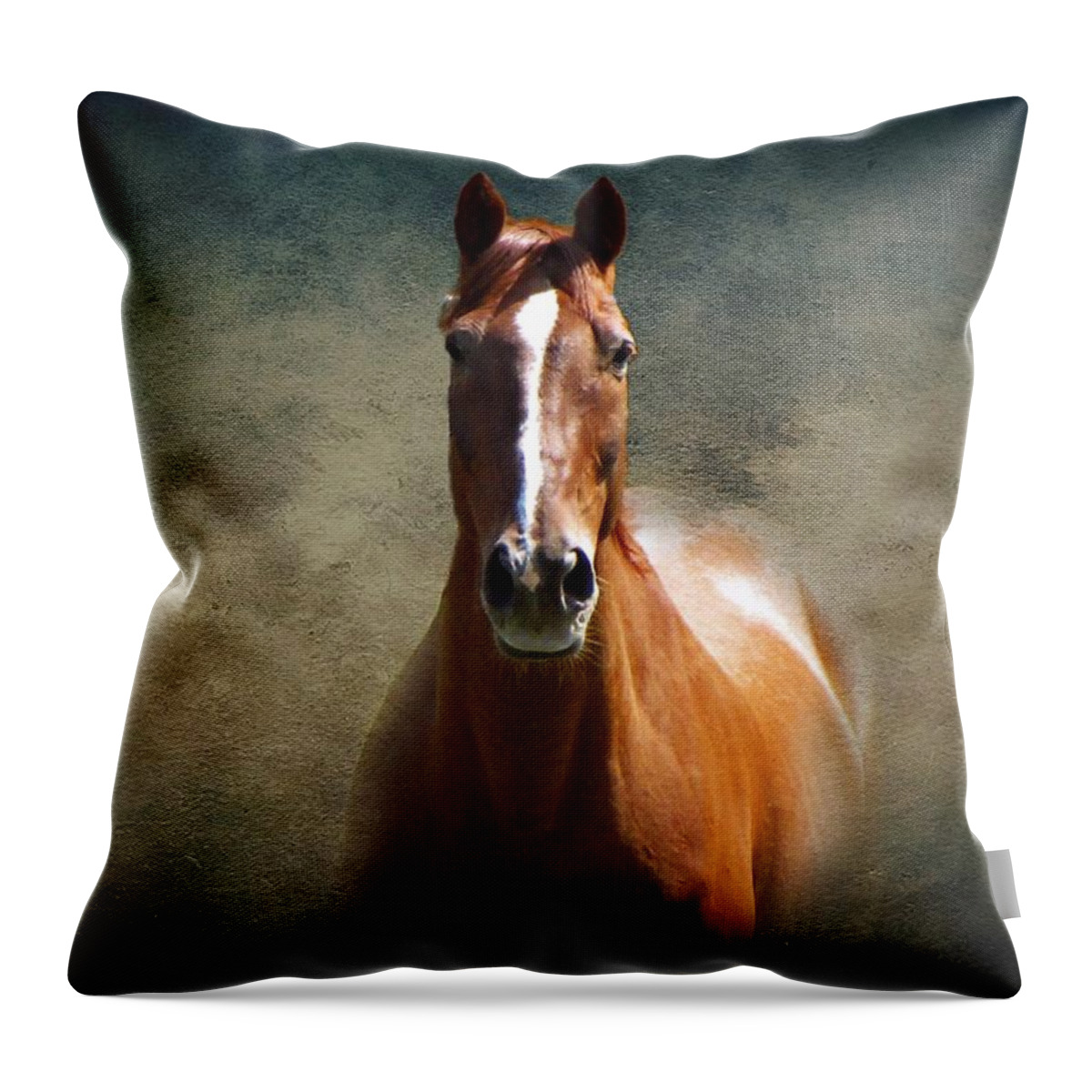 Misty In The Moonlight Throw Pillow featuring the photograph Misty in the Moonlight by David Dehner