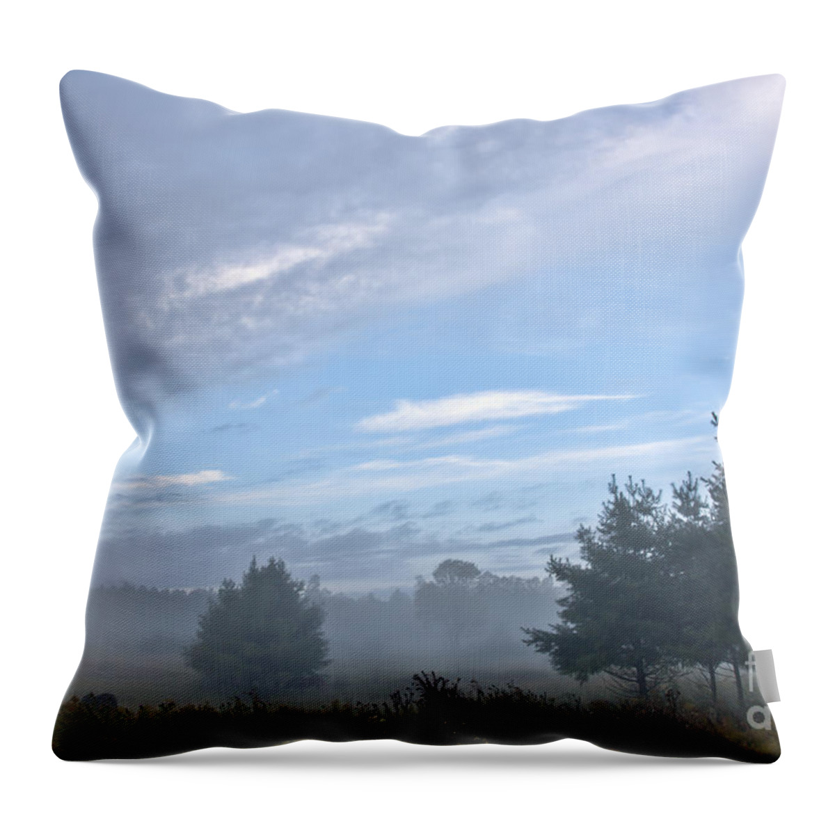  Throw Pillow featuring the photograph Misty Monday by Cheryl Baxter