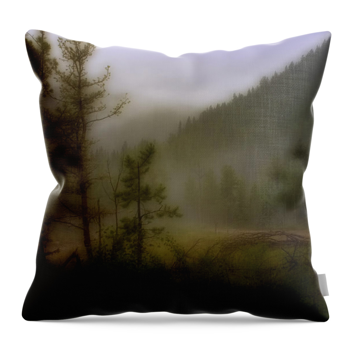 Colorado Throw Pillow featuring the photograph Misty Mountain by Ellen Heaverlo