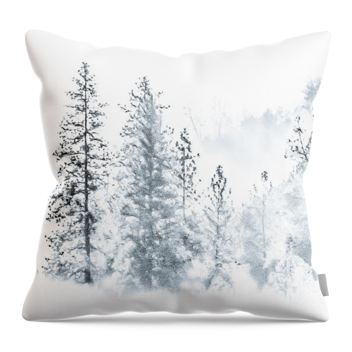 Mountain Throw Pillow featuring the photograph Misty Mountain by Susan Eileen Evans