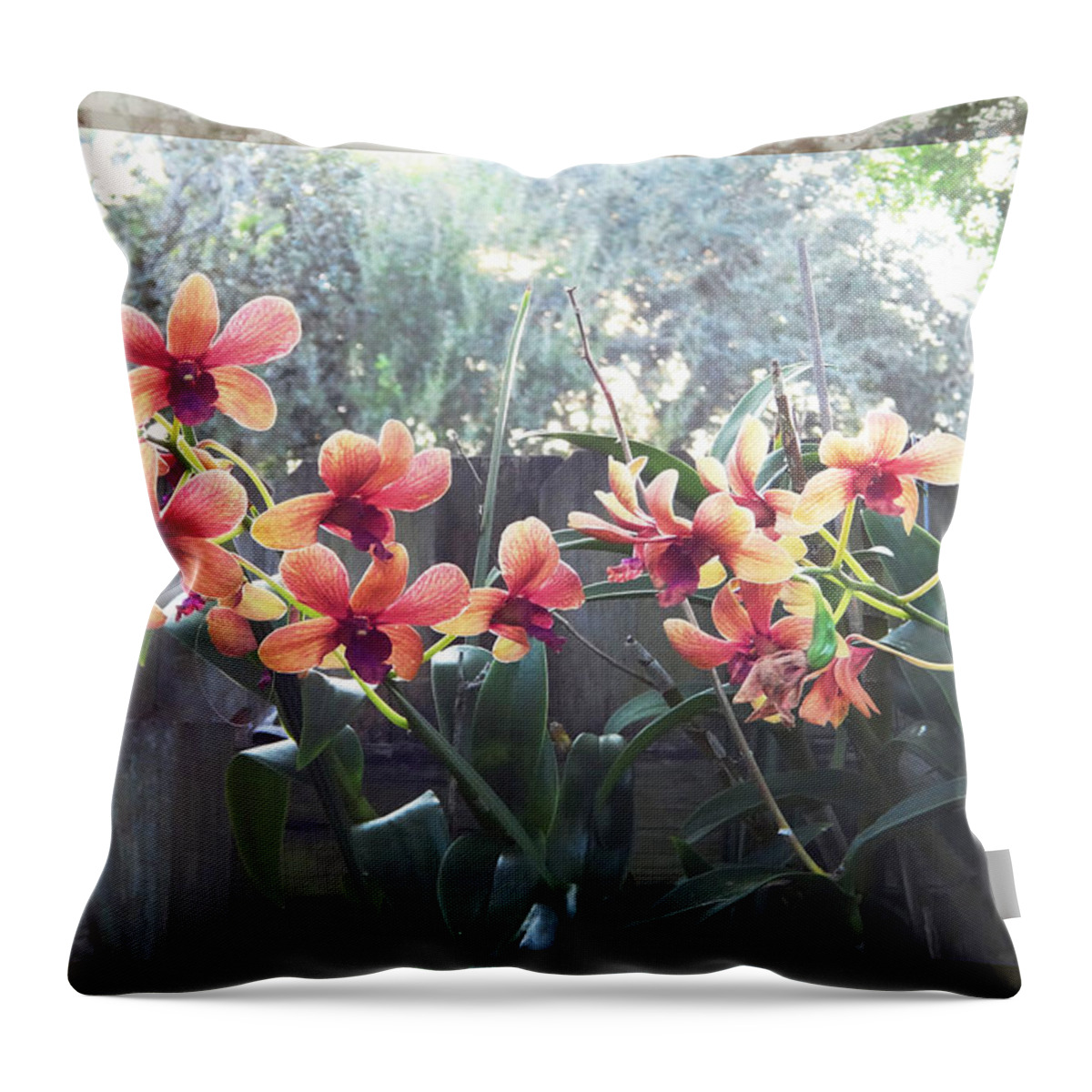 Orchids Throw Pillow featuring the photograph Misty Orchids by Ginny Schmidt