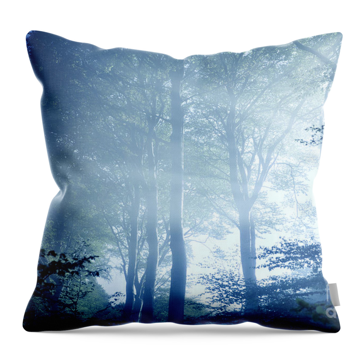 Denmark Throw Pillow featuring the photograph Misty Rays Of Light Pass Through Forest by Evgeny Kuklev