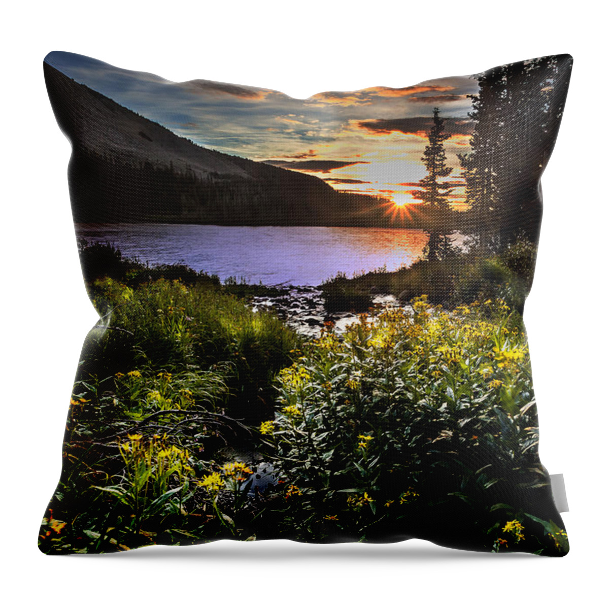 Landscape Throw Pillow featuring the photograph Mitchell Sunrise by Steven Reed