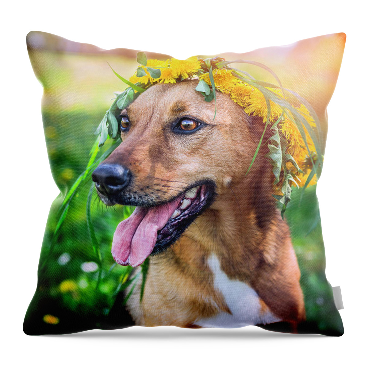 Domestic Animals Throw Pillow featuring the photograph Mixed Breed Dog In In Dandelion Hair by Vicuschka