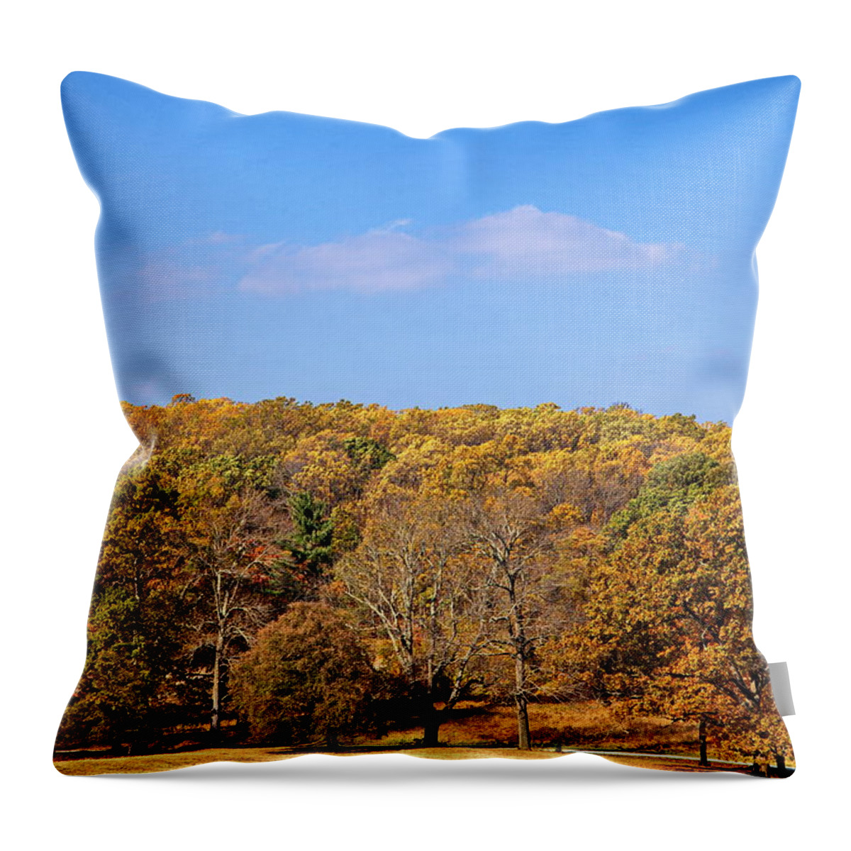 Autumn Throw Pillow featuring the digital art Mixed Fall by Leeon Photo