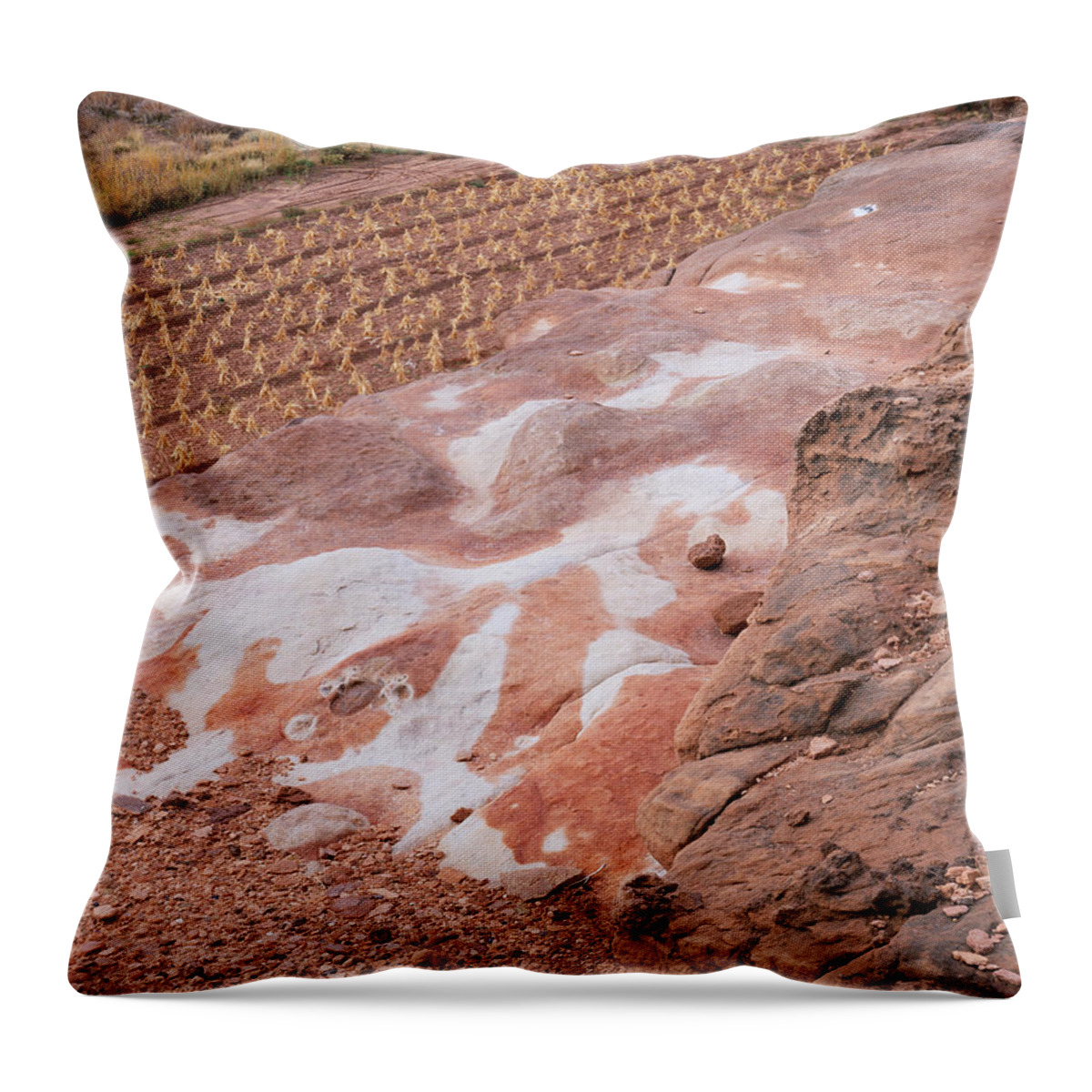 Arizona Throw Pillow featuring the photograph Moenkopi Corn-H by Tom Daniel