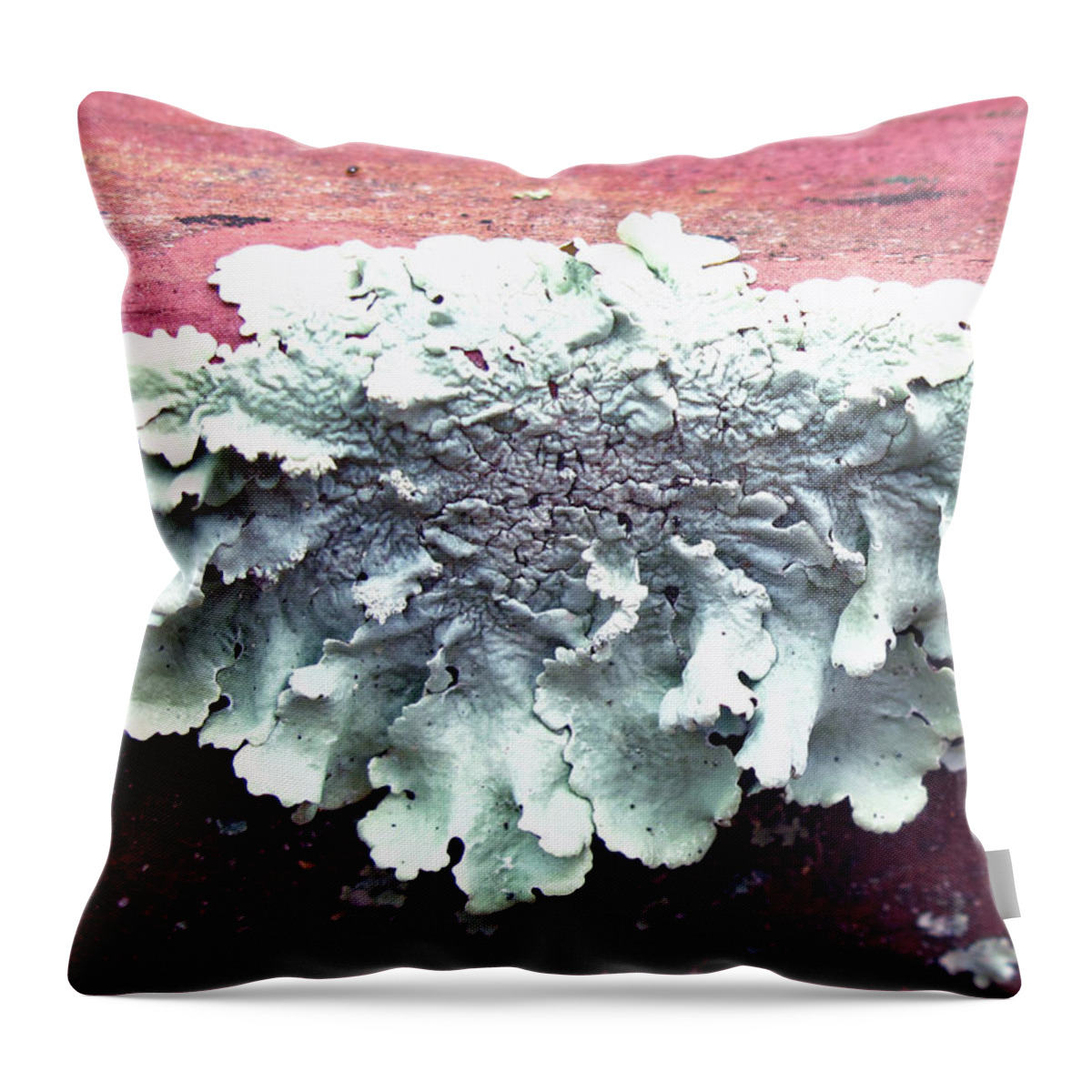 Floral Throw Pillow featuring the photograph Mold Portrait by Barbara McDevitt