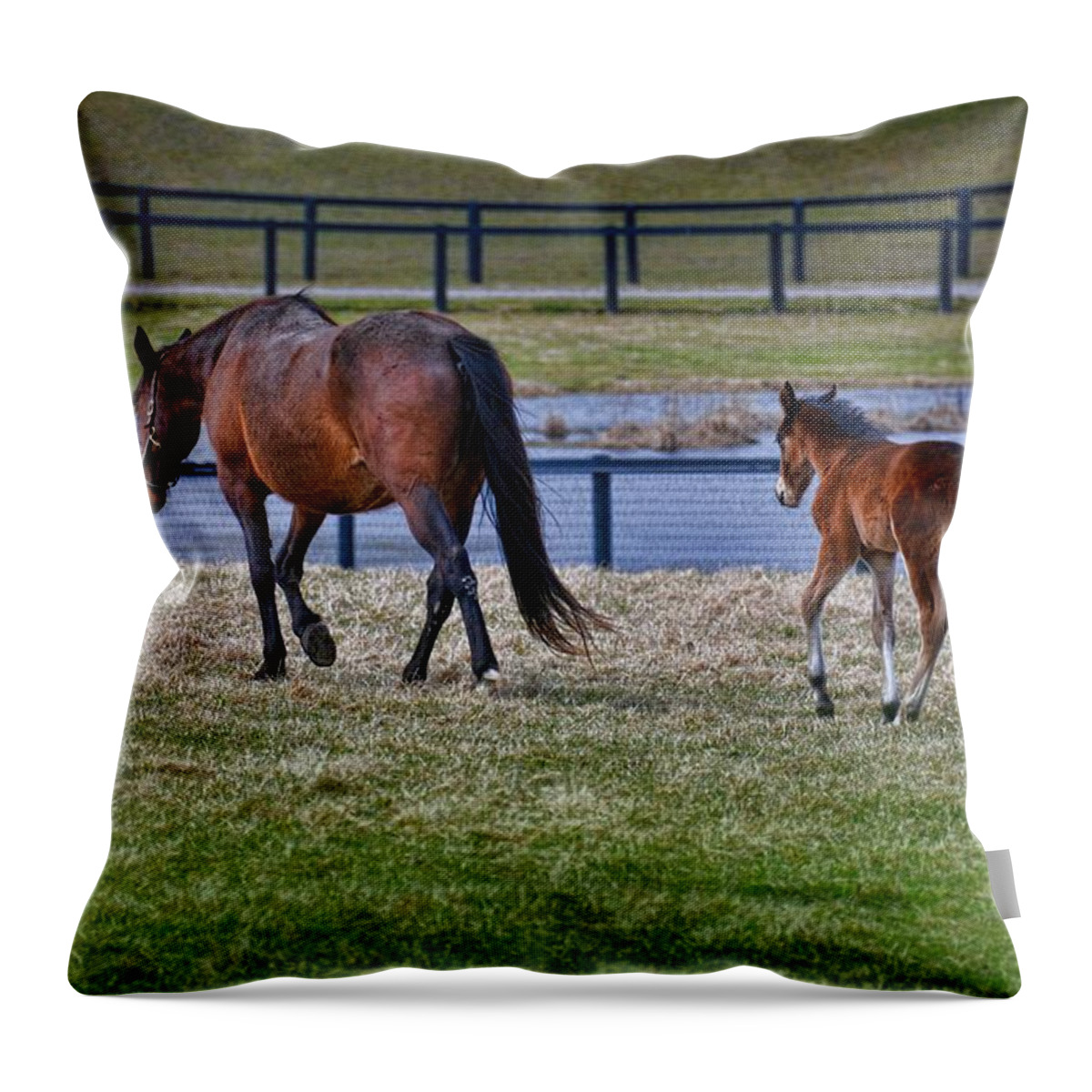 Horse Throw Pillow featuring the photograph Mom Leading The Way by Henry Kowalski