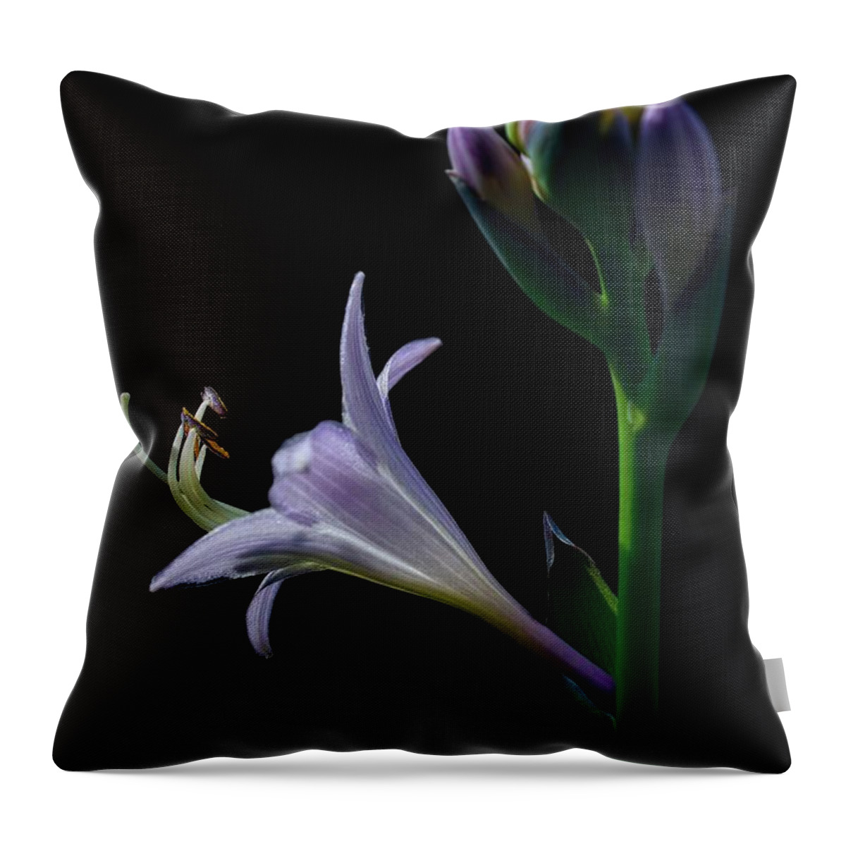 Hosta Throw Pillow featuring the photograph Moment in the Sun - Hosta Flower by Henry Kowalski