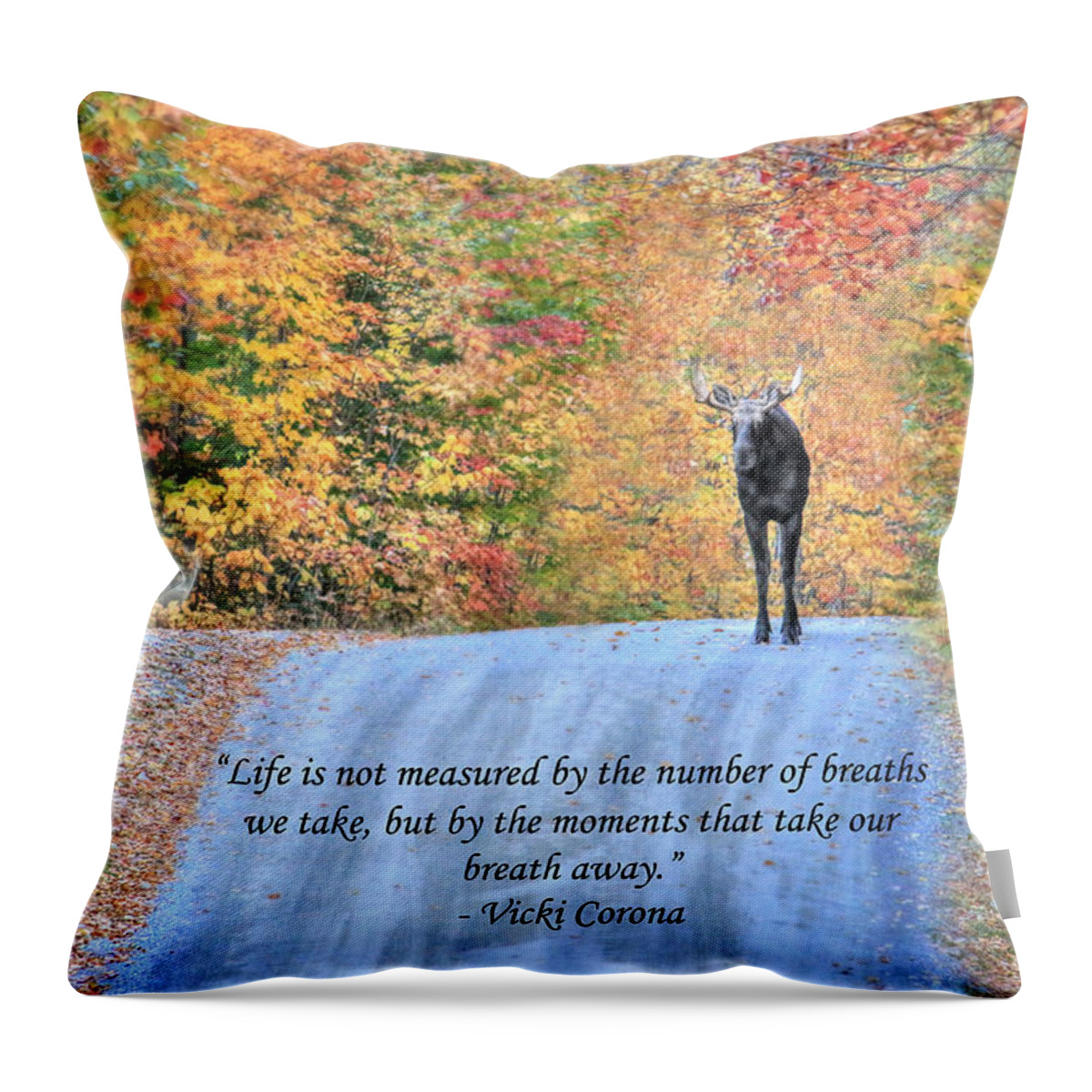 Vicki Corona Throw Pillow featuring the photograph Moments That Take Our Breath Away by Shelley Neff