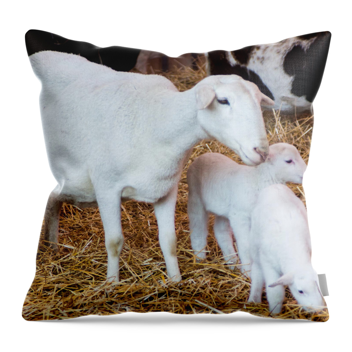 Mother Throw Pillow featuring the photograph Momma and Newborns by Photographic Arts And Design Studio