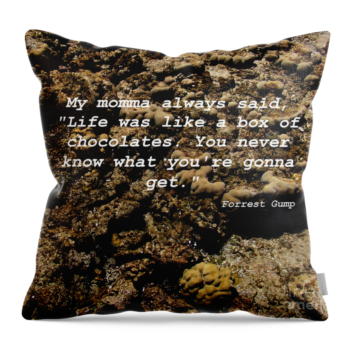 Forrest Throw Pillow featuring the photograph Momma by Andrea Anderegg