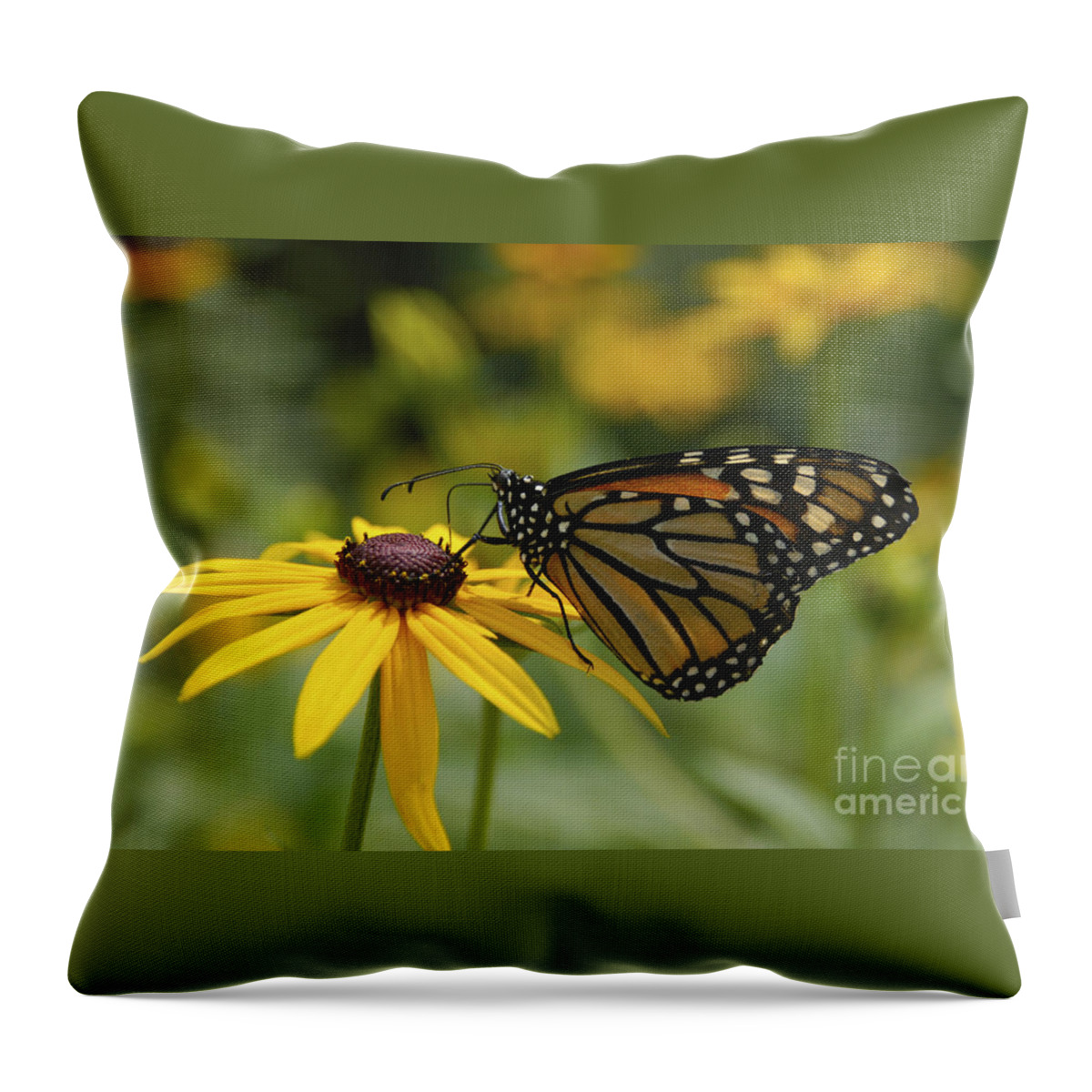 Monarch Butterfly Throw Pillow featuring the photograph Monarch Butterfly by Anthony Sacco