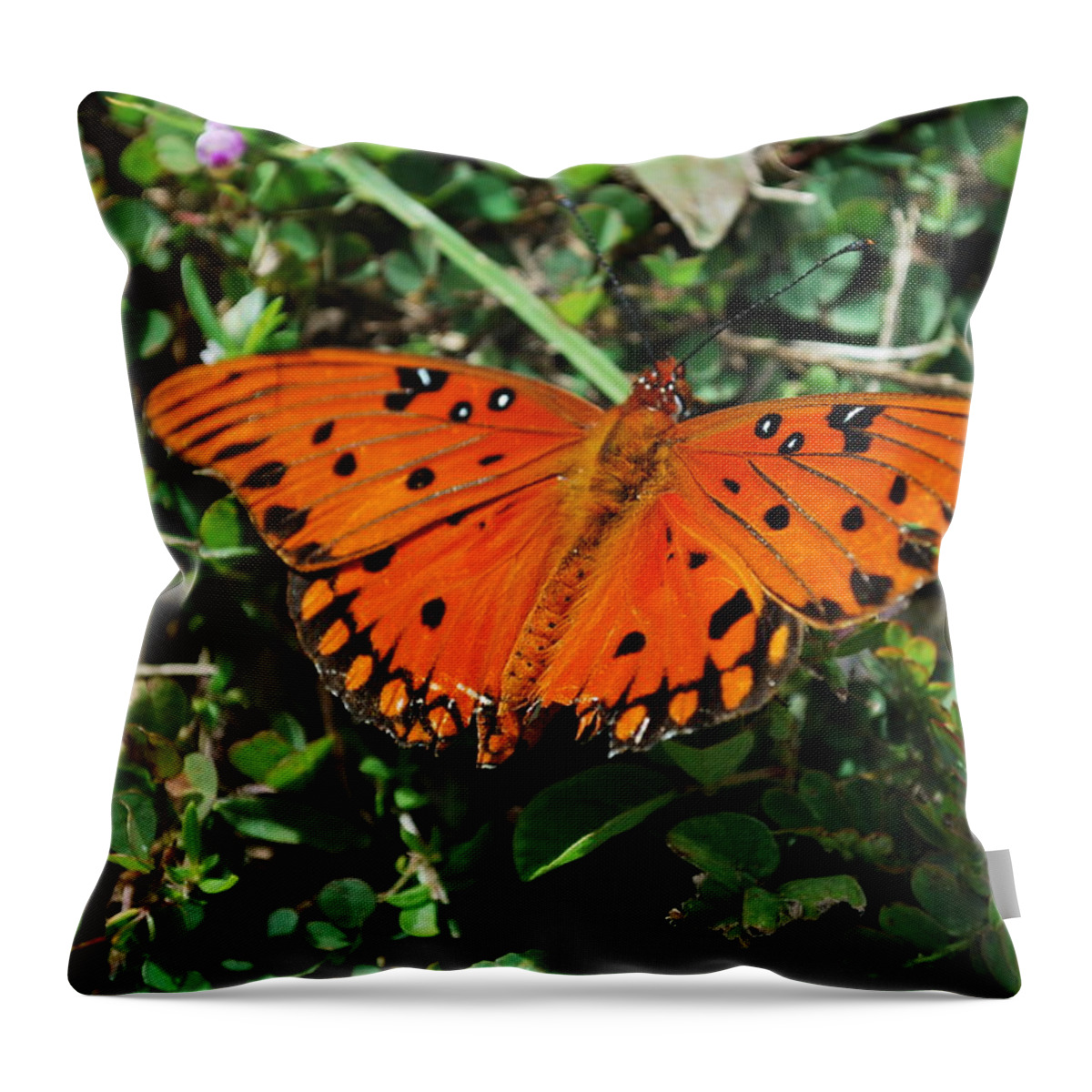 Nature Throw Pillow featuring the photograph Monarch Butterfly by May Photography
