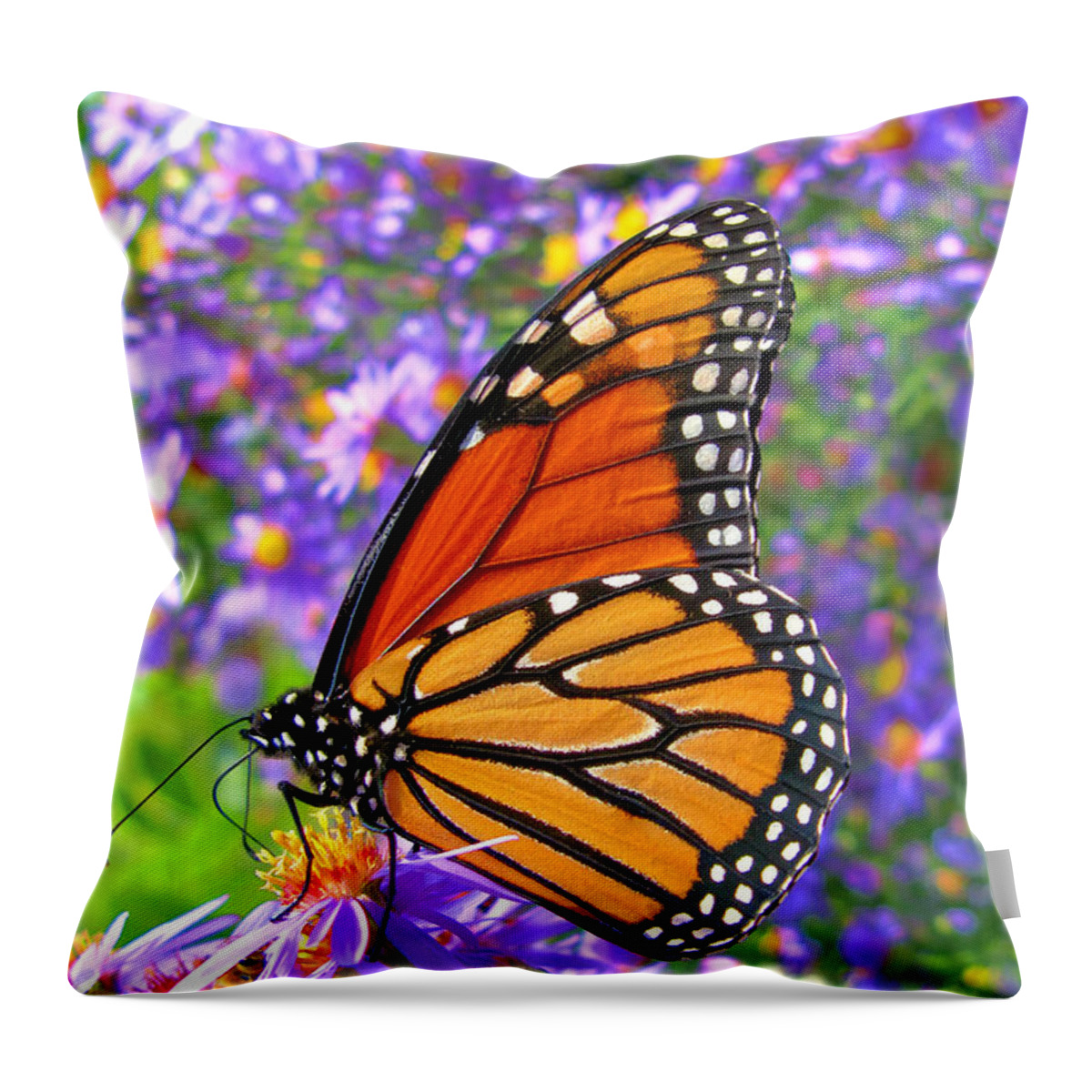 Butterfly Throw Pillow featuring the photograph Monarch Butterfly by Olivier Le Queinec