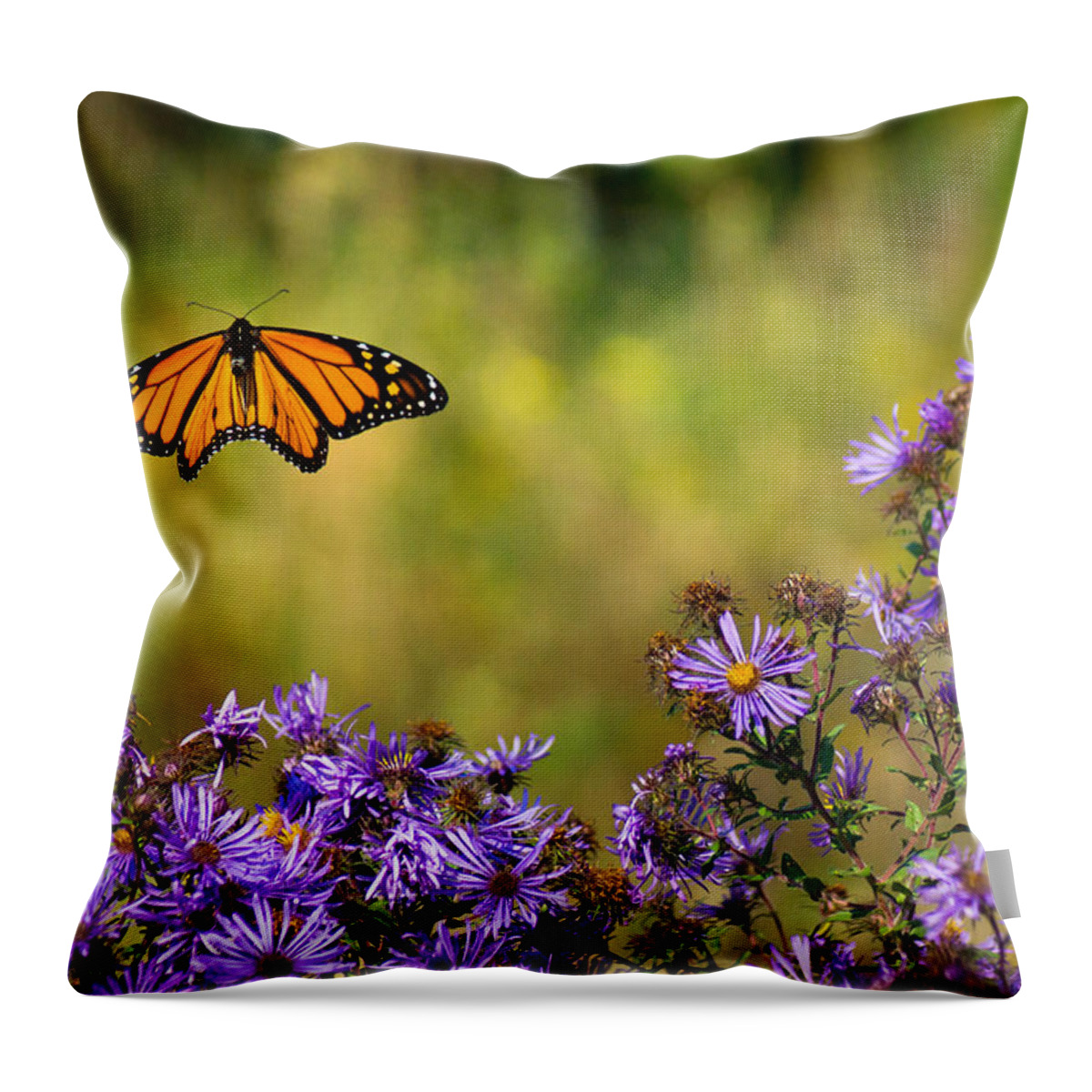 Color Throw Pillow featuring the photograph Monarch Flight by Bill Pevlor