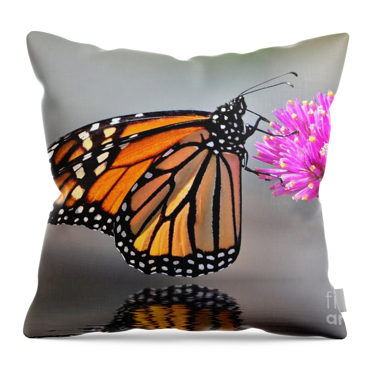 Butterflies Throw Pillow featuring the photograph Monarch On A Pink Flower by Kathy Baccari
