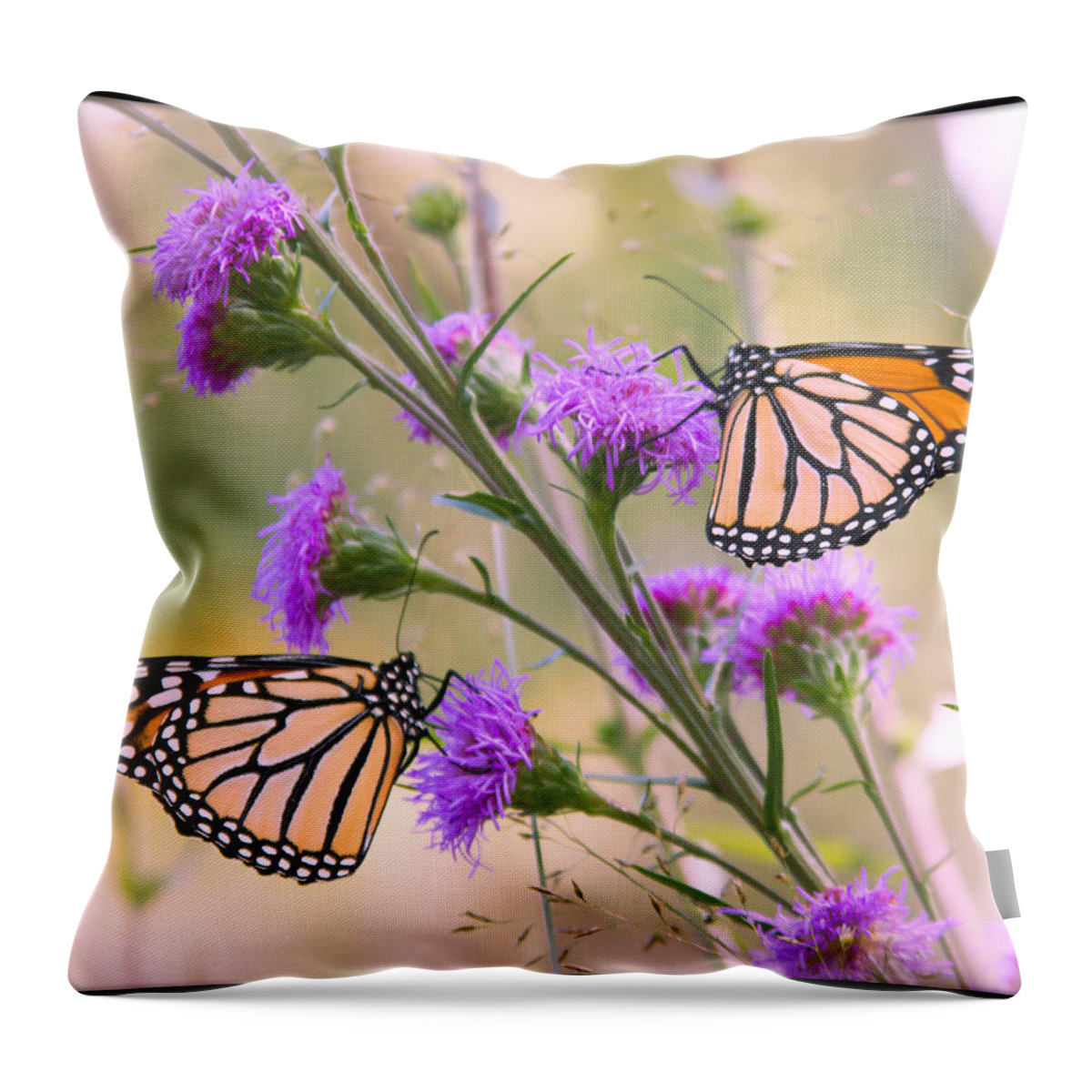 Monarch Throw Pillow featuring the photograph Monarch Pair by Hermes Fine Art