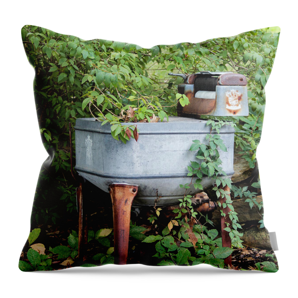 Monday Throw Pillow featuring the photograph Monday is Laundry Day by Lynn Sprowl
