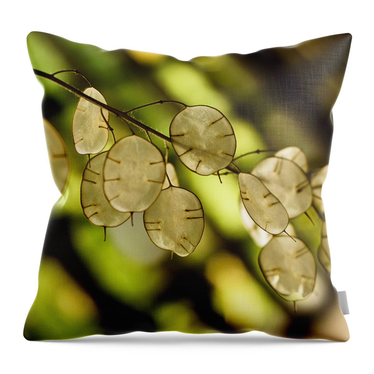 Backlit Throw Pillow featuring the photograph Money on Trees by Christi Kraft