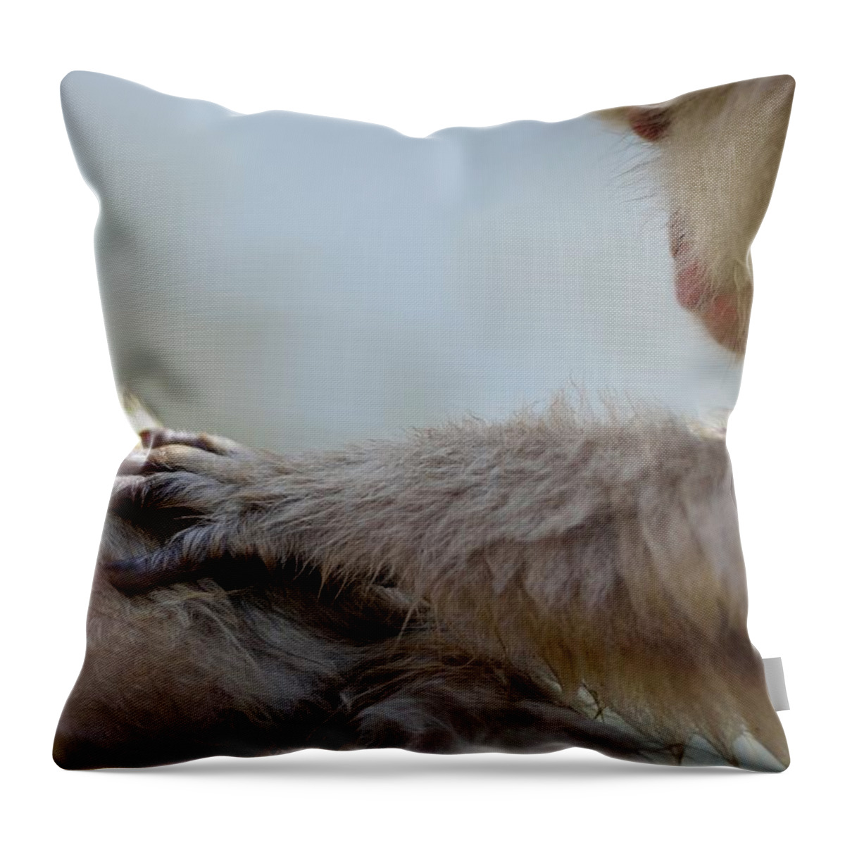 Animal Themes Throw Pillow featuring the photograph Monkey Head Massage by Electravk