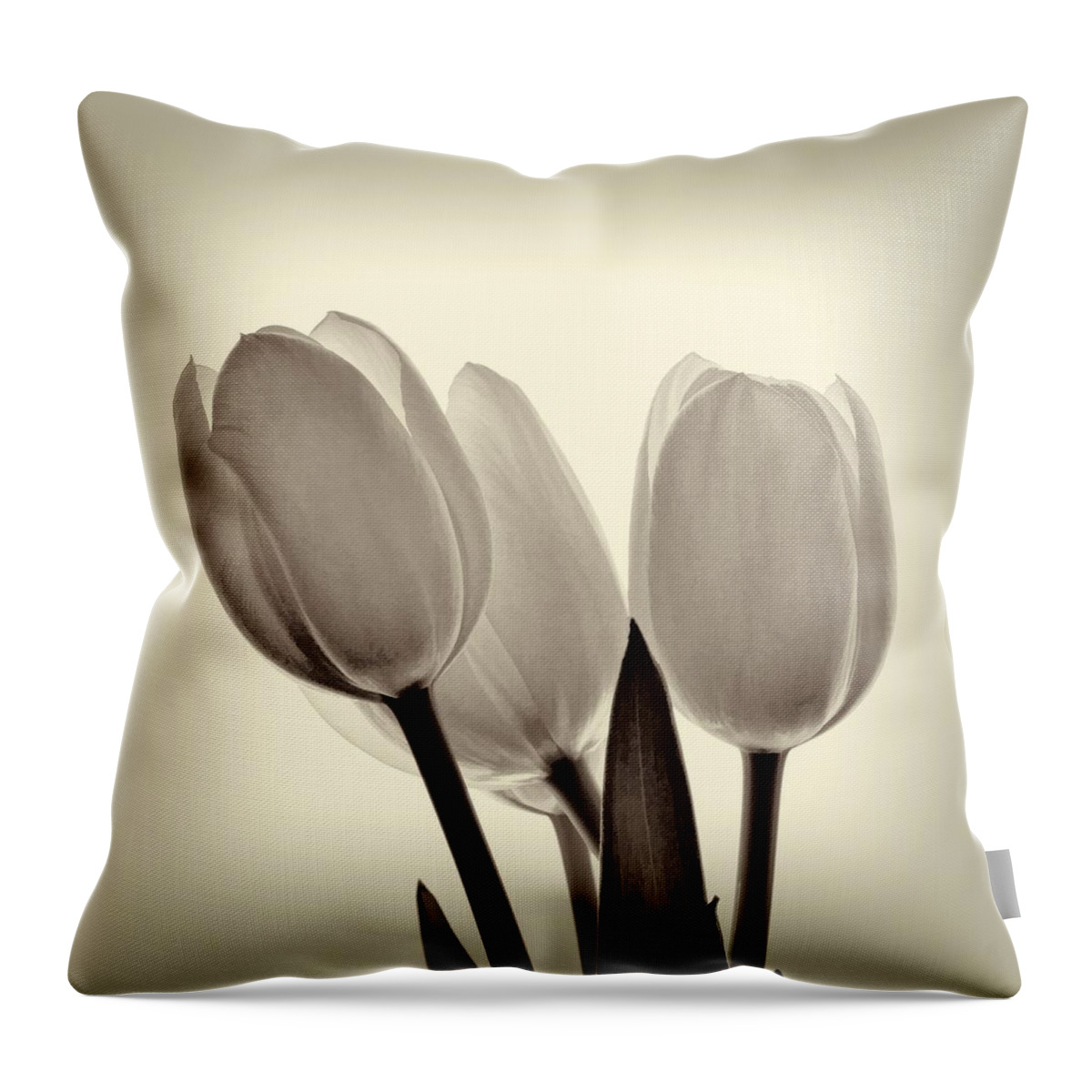 Flower Throw Pillow featuring the photograph Monochrome Tulips with Vignette by Phyllis Meinke