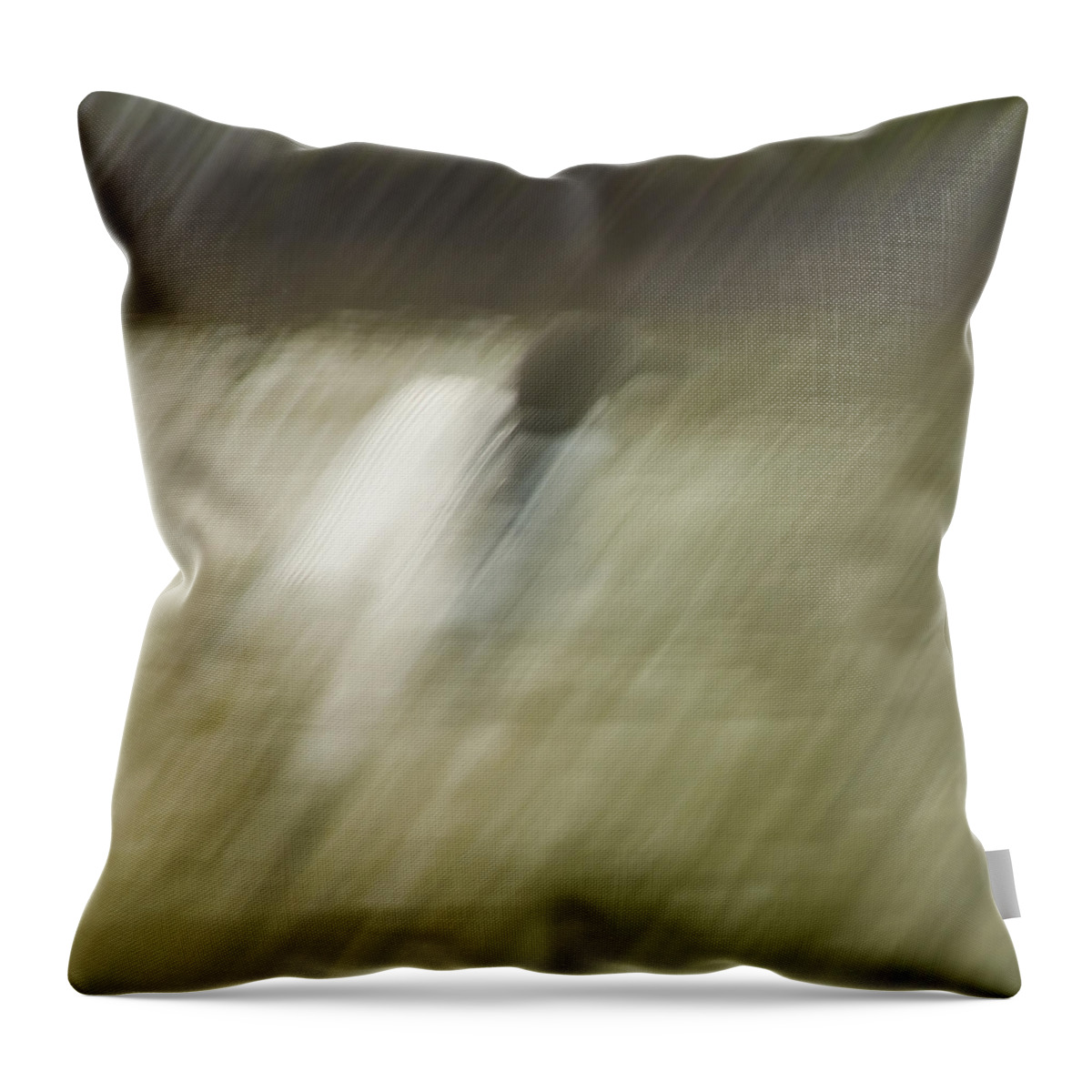 Common Loon (gavhdae Throw Pillow featuring the digital art Monsoon Loon by Daniel Hebard