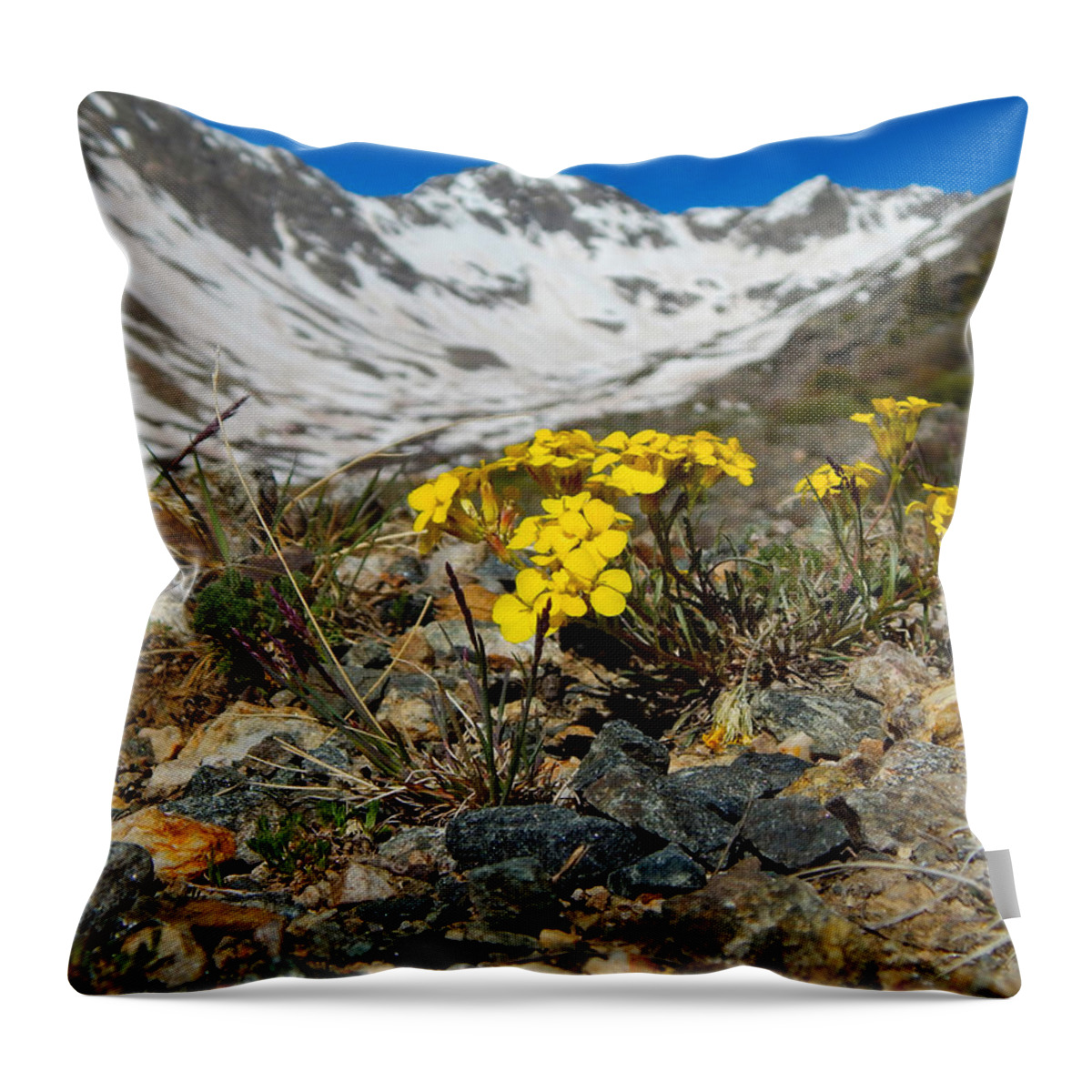 Photo Throw Pillow featuring the photograph Blue Lakes Colorado Wildflowers by Dan Miller