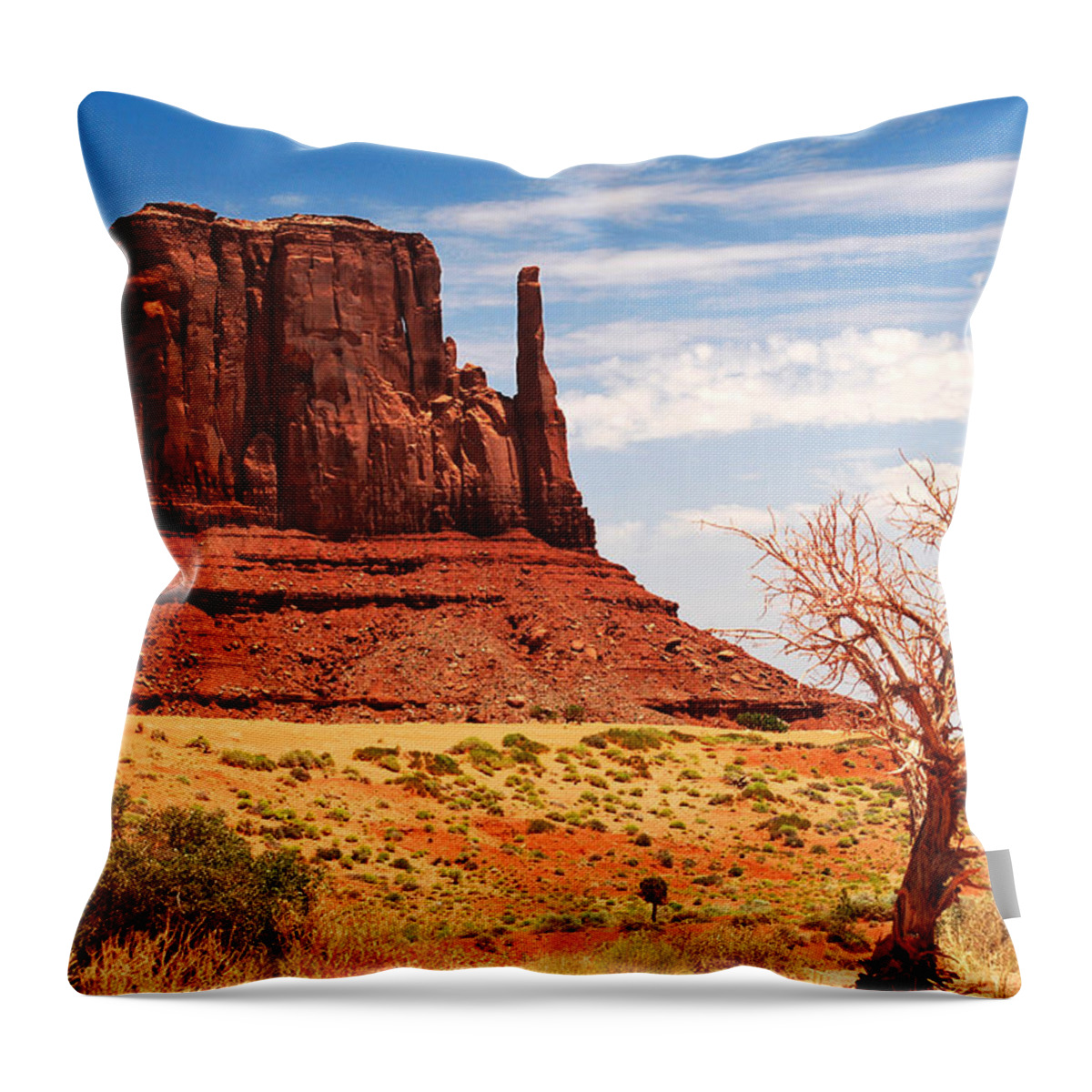 Dirt Throw Pillow featuring the photograph Monument Mitten by Gregory Ballos