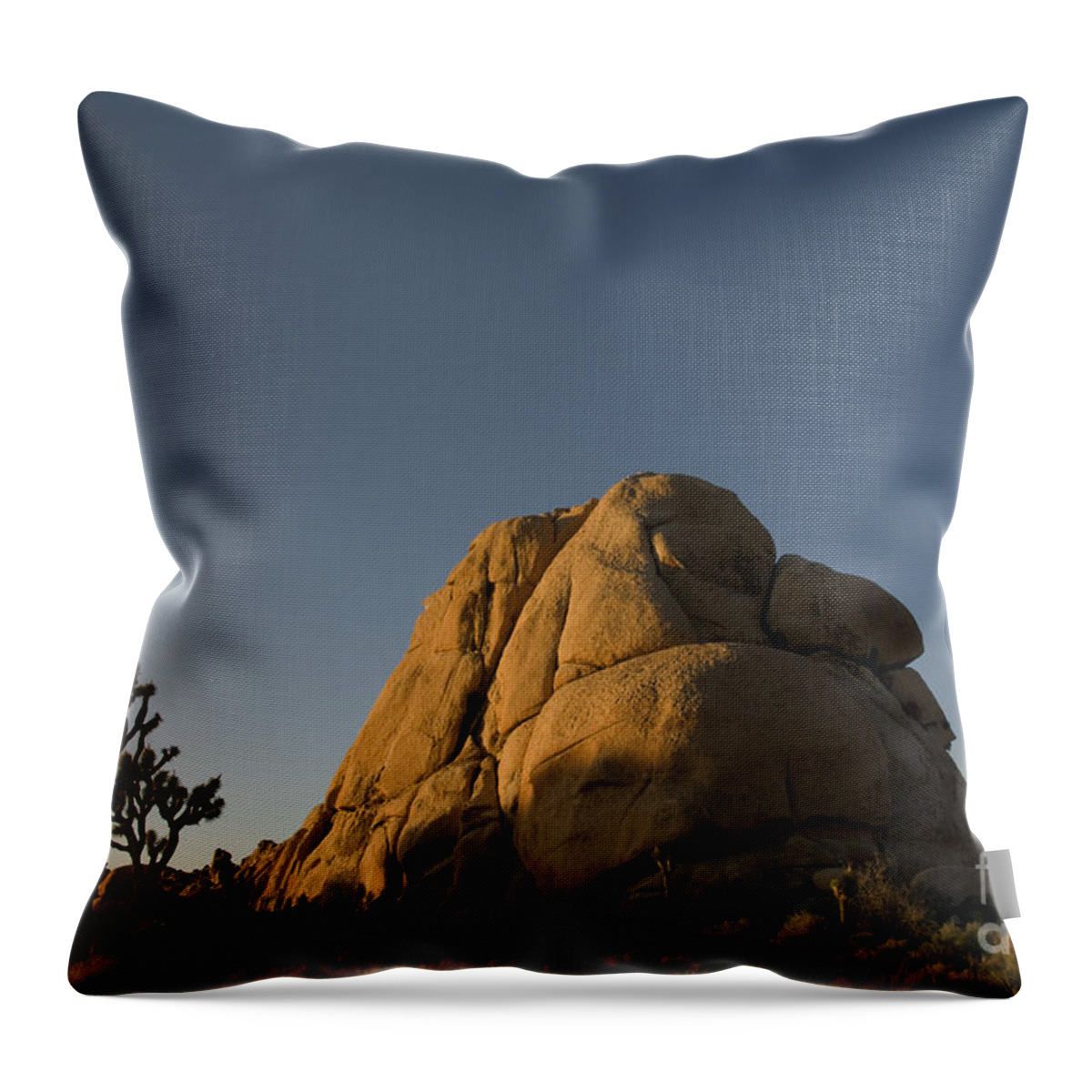 Rock Throw Pillow featuring the photograph Monzonite Granite, Joshua Tree Np by Mark Newman