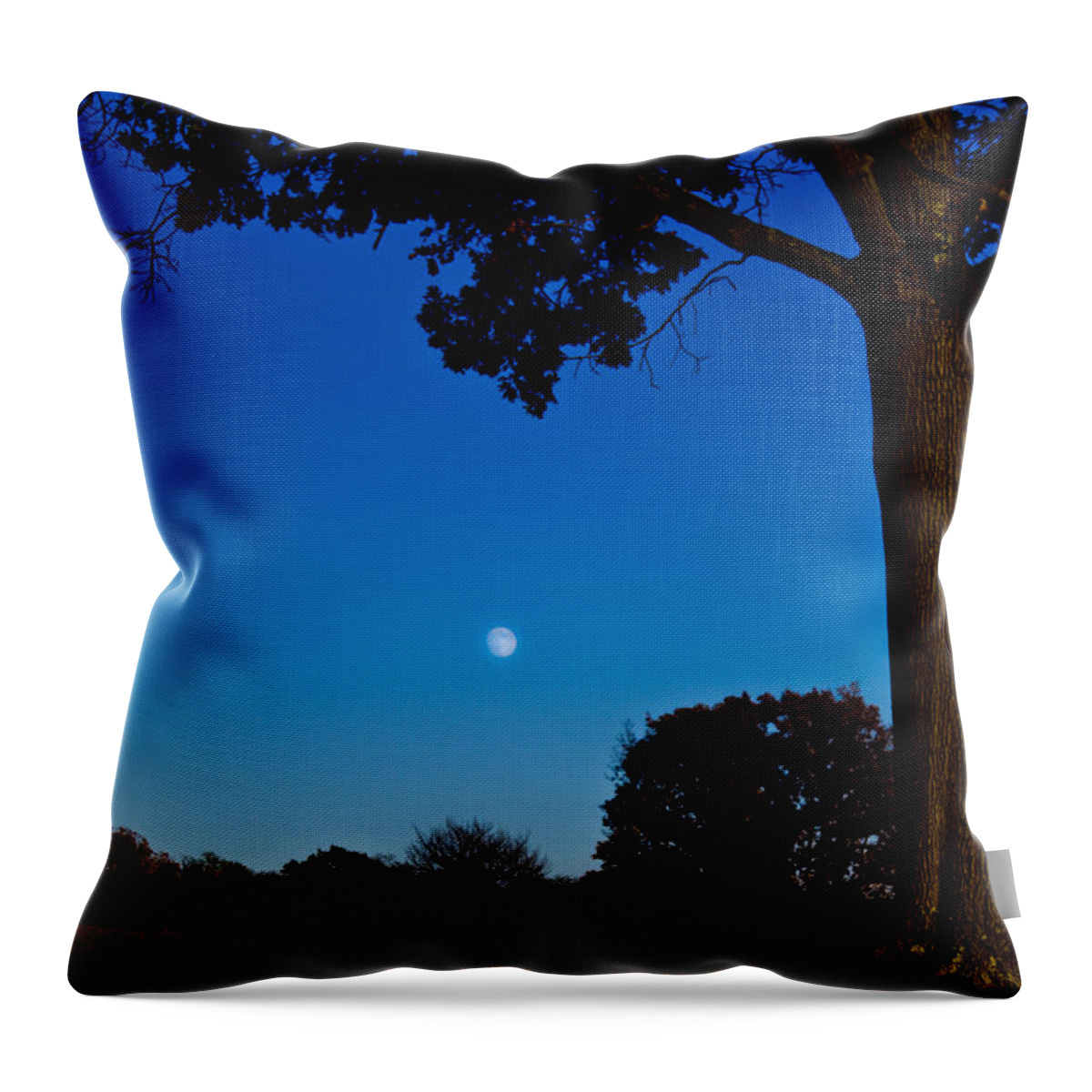 Moon Throw Pillow featuring the photograph Moon behind the Tree by Jonny D
