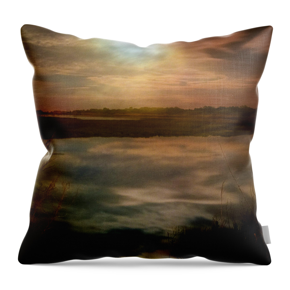 Nature Throw Pillow featuring the photograph Moon over marsh - 35mm film by Gary Heller