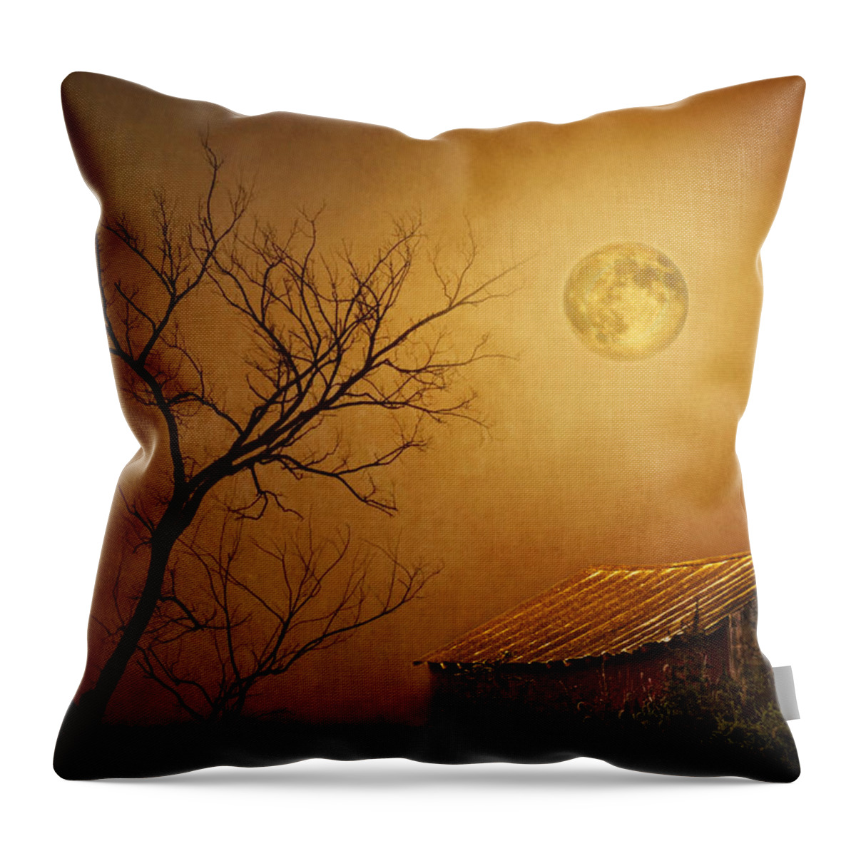 Moon Throw Pillow featuring the photograph Moonglow over Polenz Ranch by Nikolyn McDonald