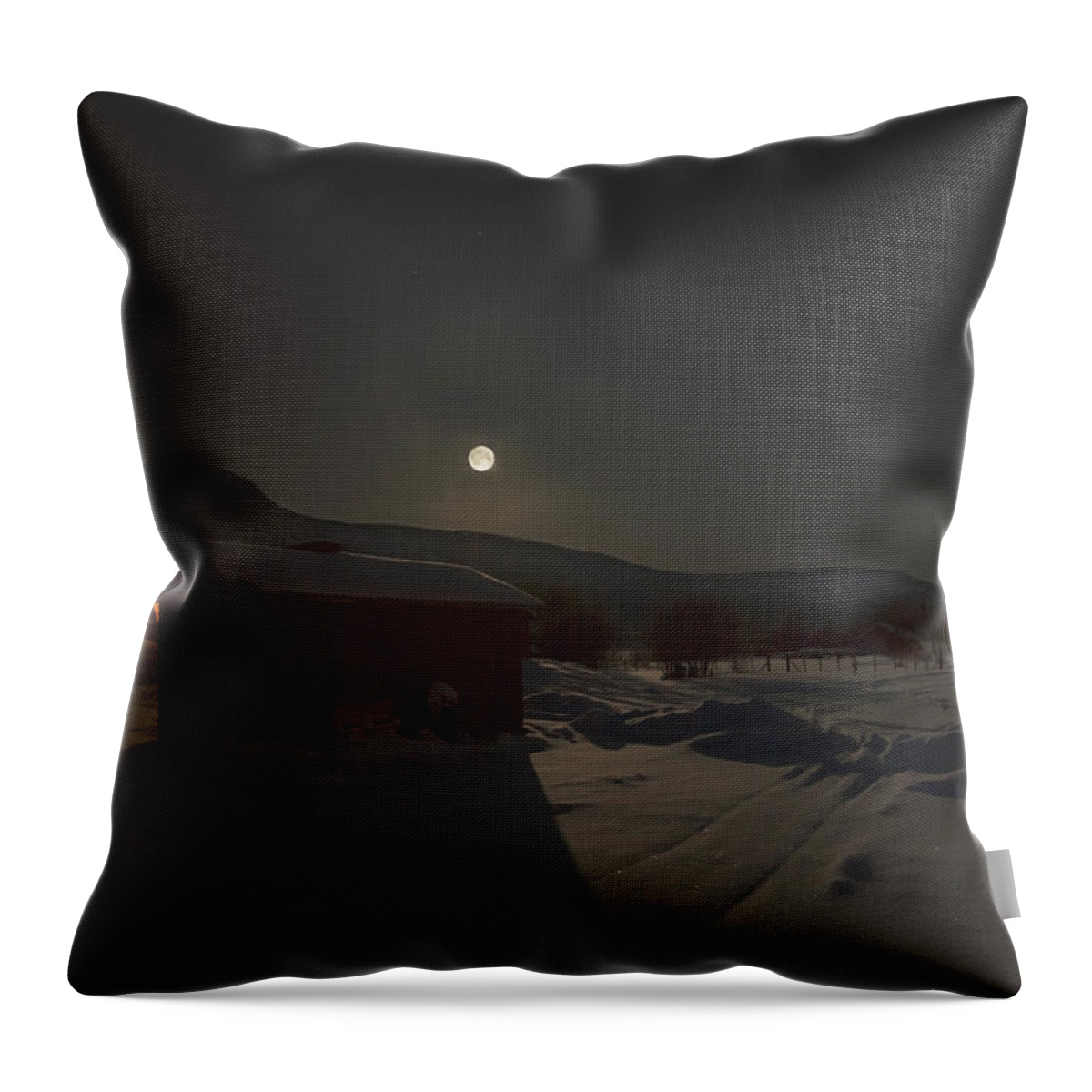 Moon Throw Pillow featuring the photograph Moonlit Arctic Village by Pekka Sammallahti