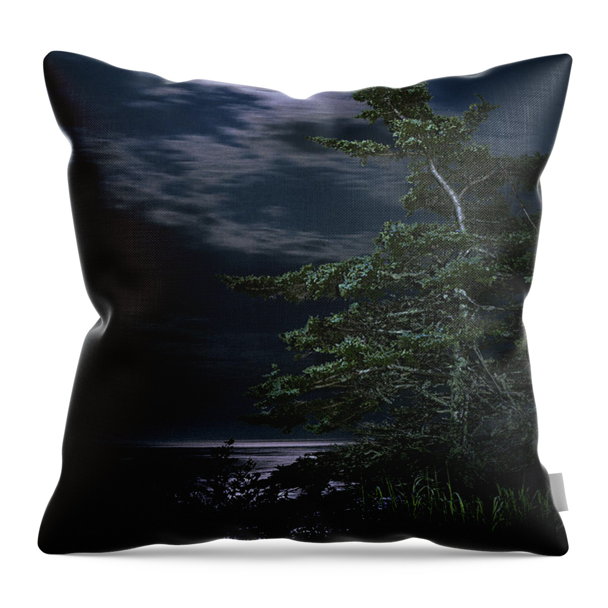 Quoddy Throw Pillow featuring the photograph Moonlit Treescape by Marty Saccone