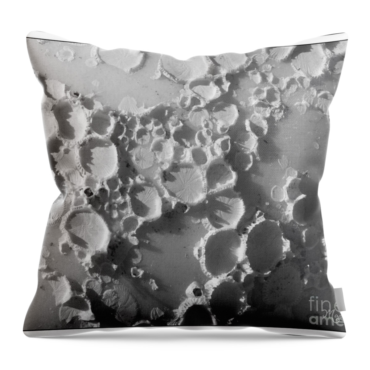 Abstract Throw Pillow featuring the photograph Moonscape on a Seashell by Mariarosa Rockefeller