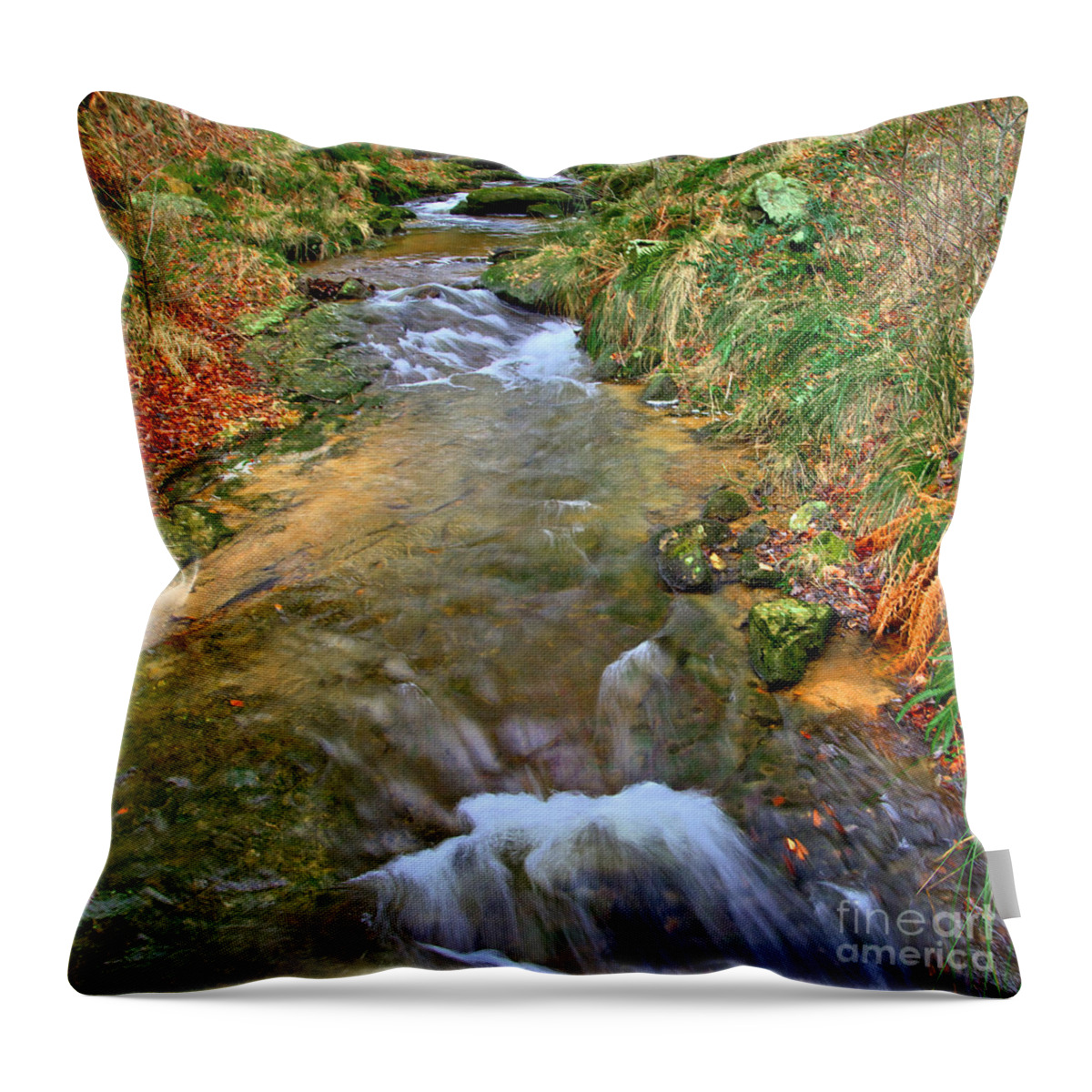 Stream Throw Pillow featuring the photograph Moorland Stream by Martyn Arnold