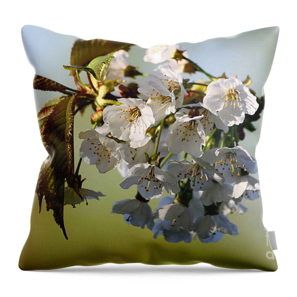 St James Lake Throw Pillow featuring the photograph More Spring Flowers by Jeremy Hayden