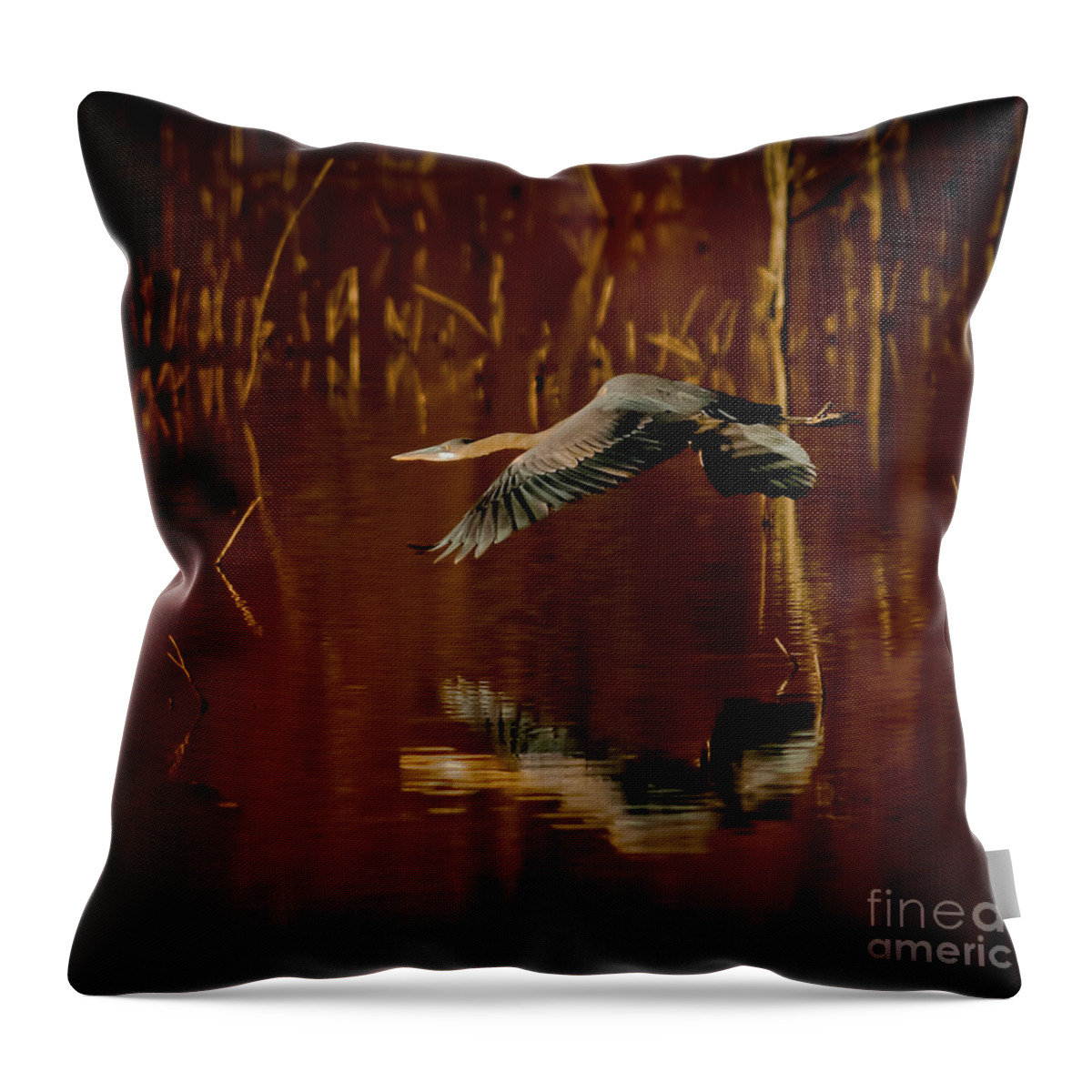 Animal Throw Pillow featuring the photograph Heron Flying Through Rusty Bog by Robert Frederick