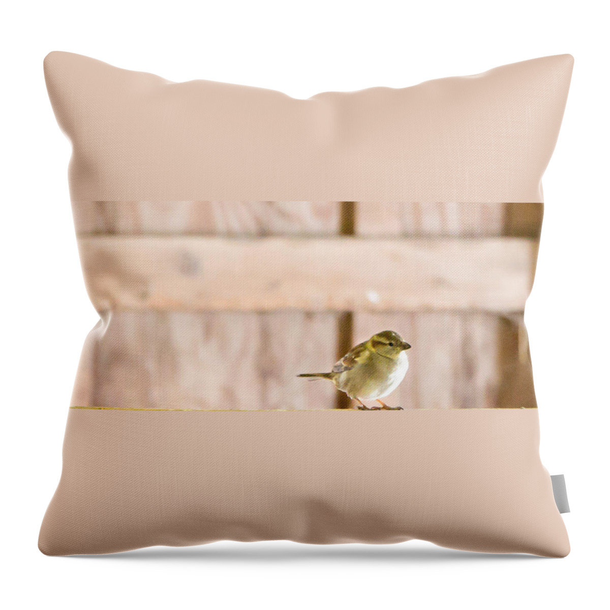Yellow Bird Throw Pillow featuring the photograph Morning Bird by Courtney Webster
