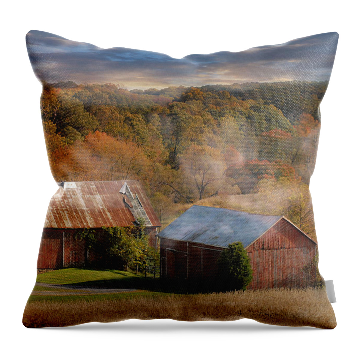 Farms Throw Pillow featuring the photograph Morning Burn by Fran J Scott