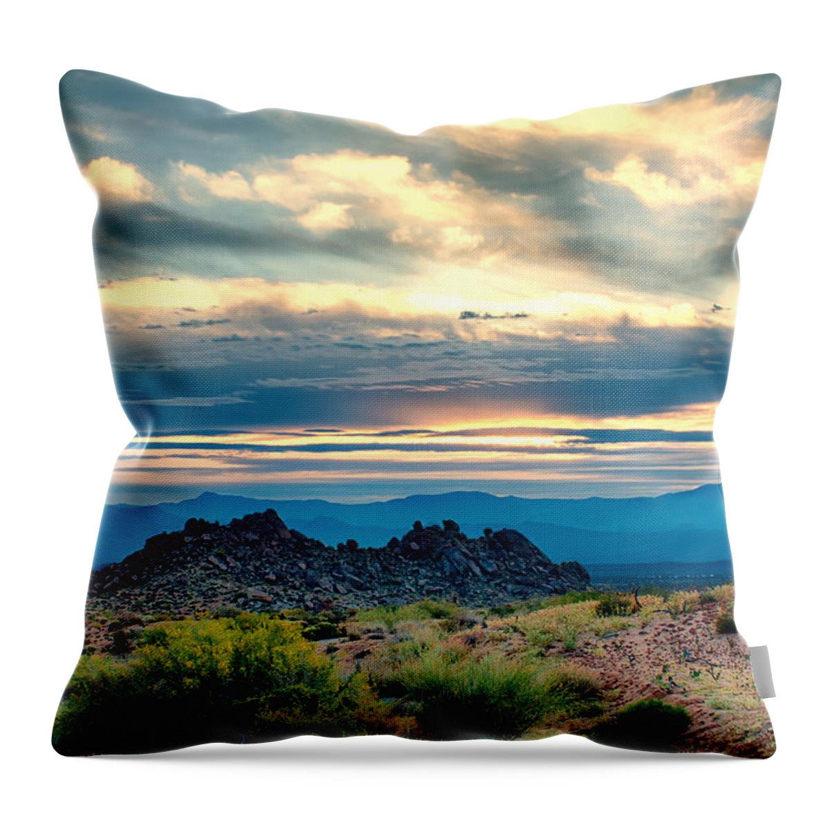 Fred Larson Throw Pillow featuring the photograph Morning Desert Glow by Fred Larson