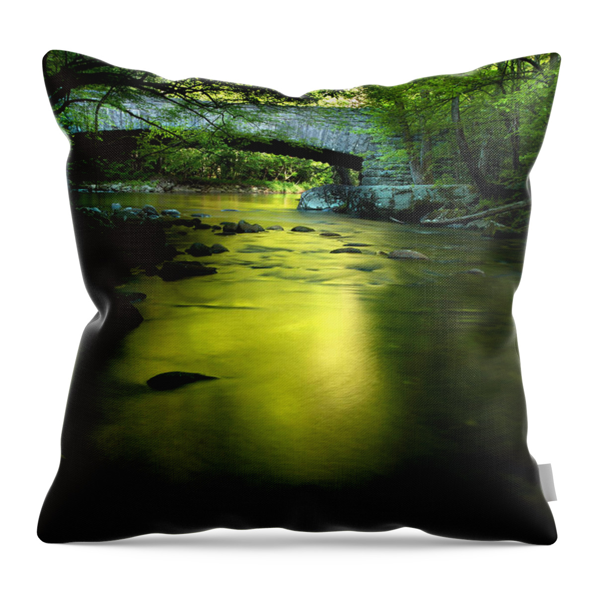 River Bridge Throw Pillow featuring the photograph Morning Dreams by Michael Eingle