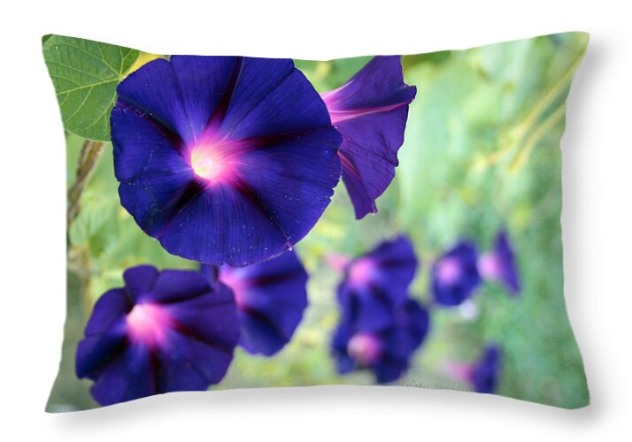 Flower Throw Pillow featuring the photograph Morning Glory Climbing by Kristy Jeppson