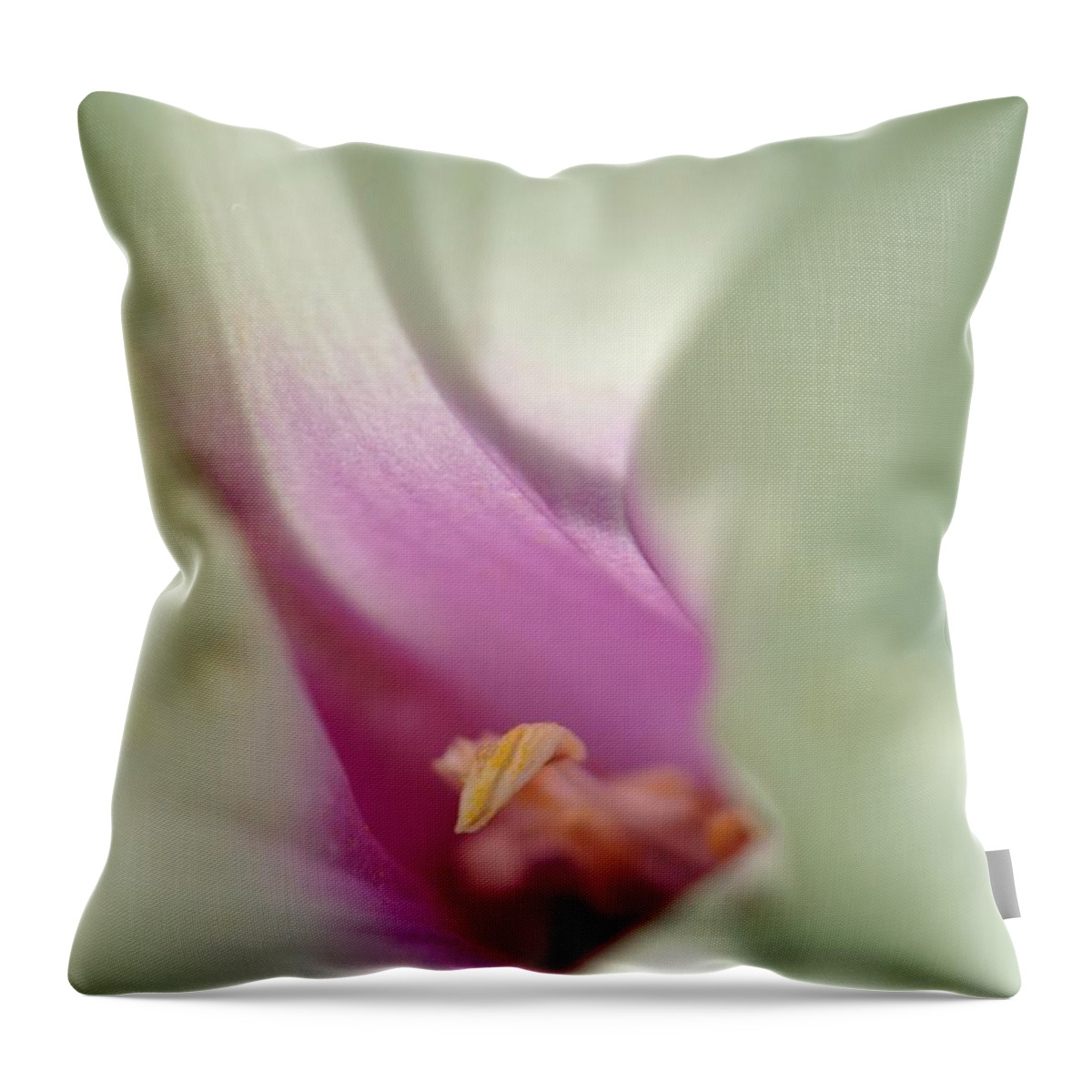 Morning Glory Throw Pillow featuring the photograph Morning Glory by Kelly Nowak