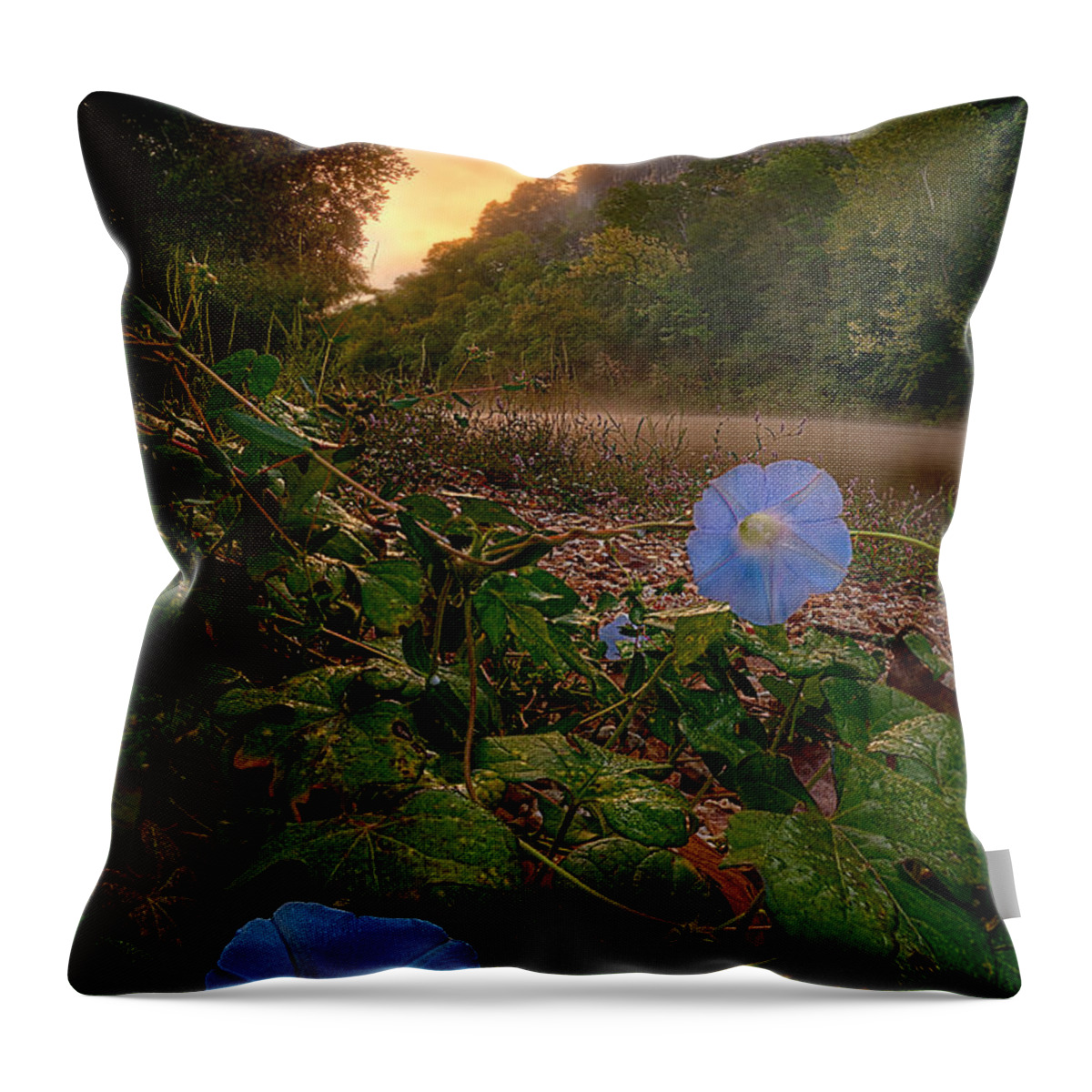2012 Throw Pillow featuring the photograph Morning Glory by Robert Charity