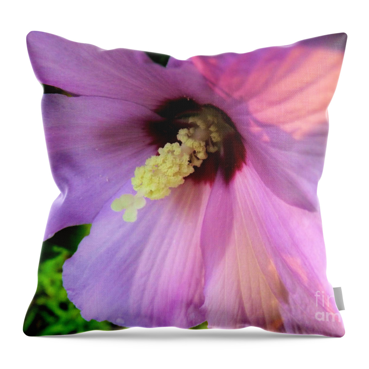 Purple Throw Pillow featuring the photograph Morning Glory by Robyn King