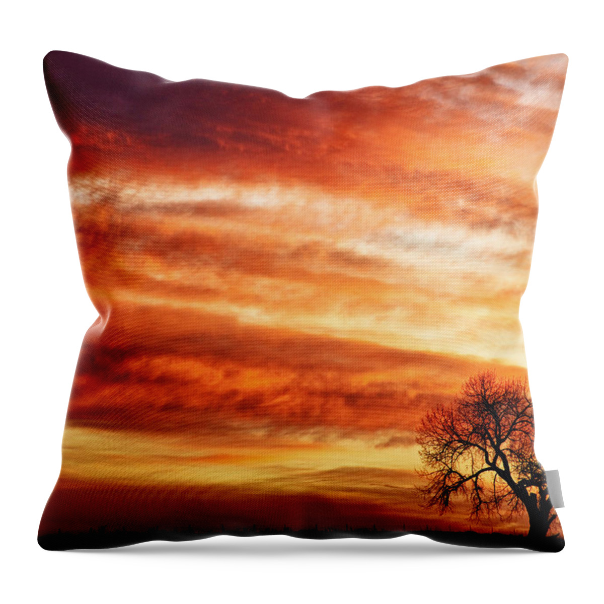 Morning Throw Pillow featuring the photograph Morning Has Broken Like the First Dawning Country Landscape by James BO Insogna